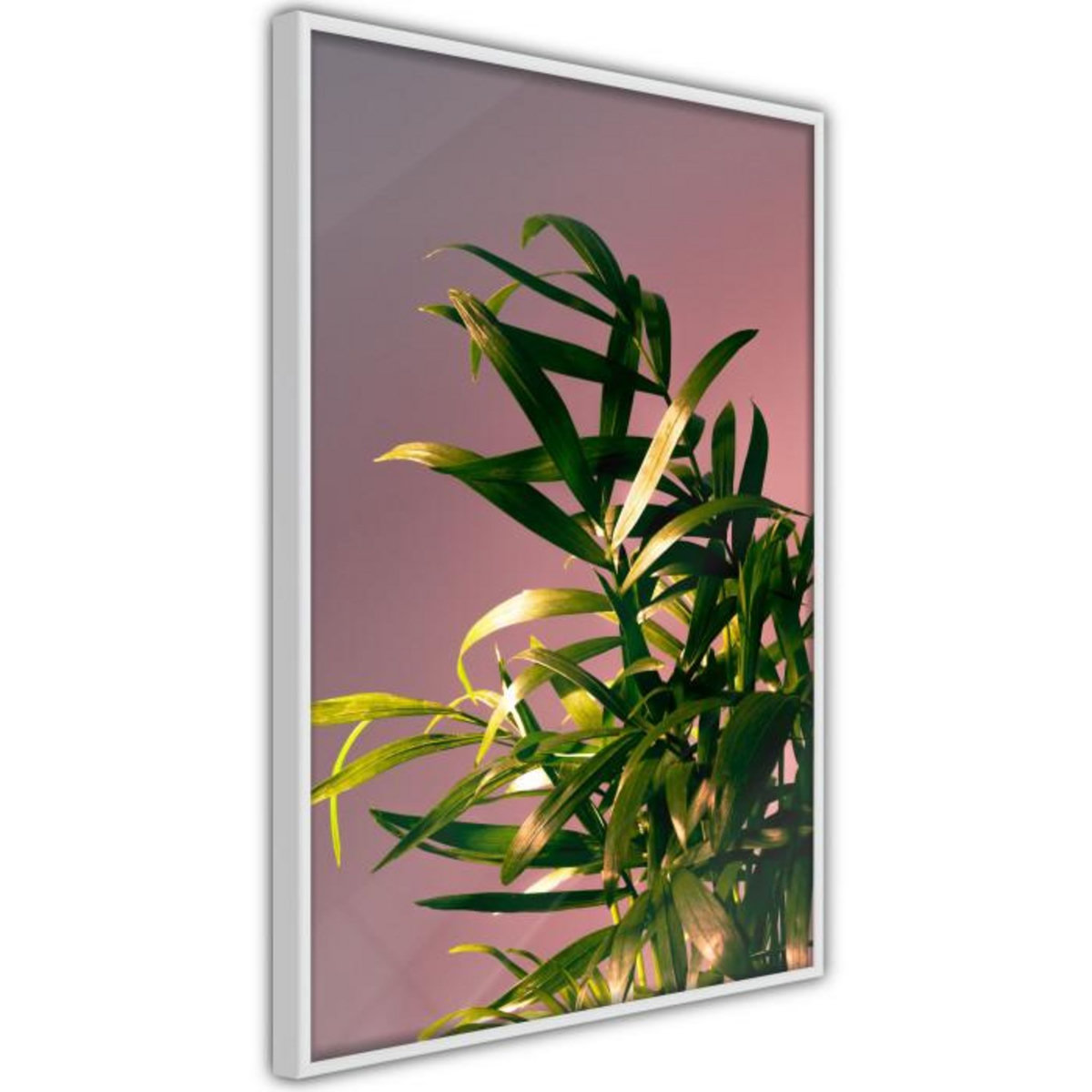 Paris Prix Affiche Murale Encadrée  Against the Sunset