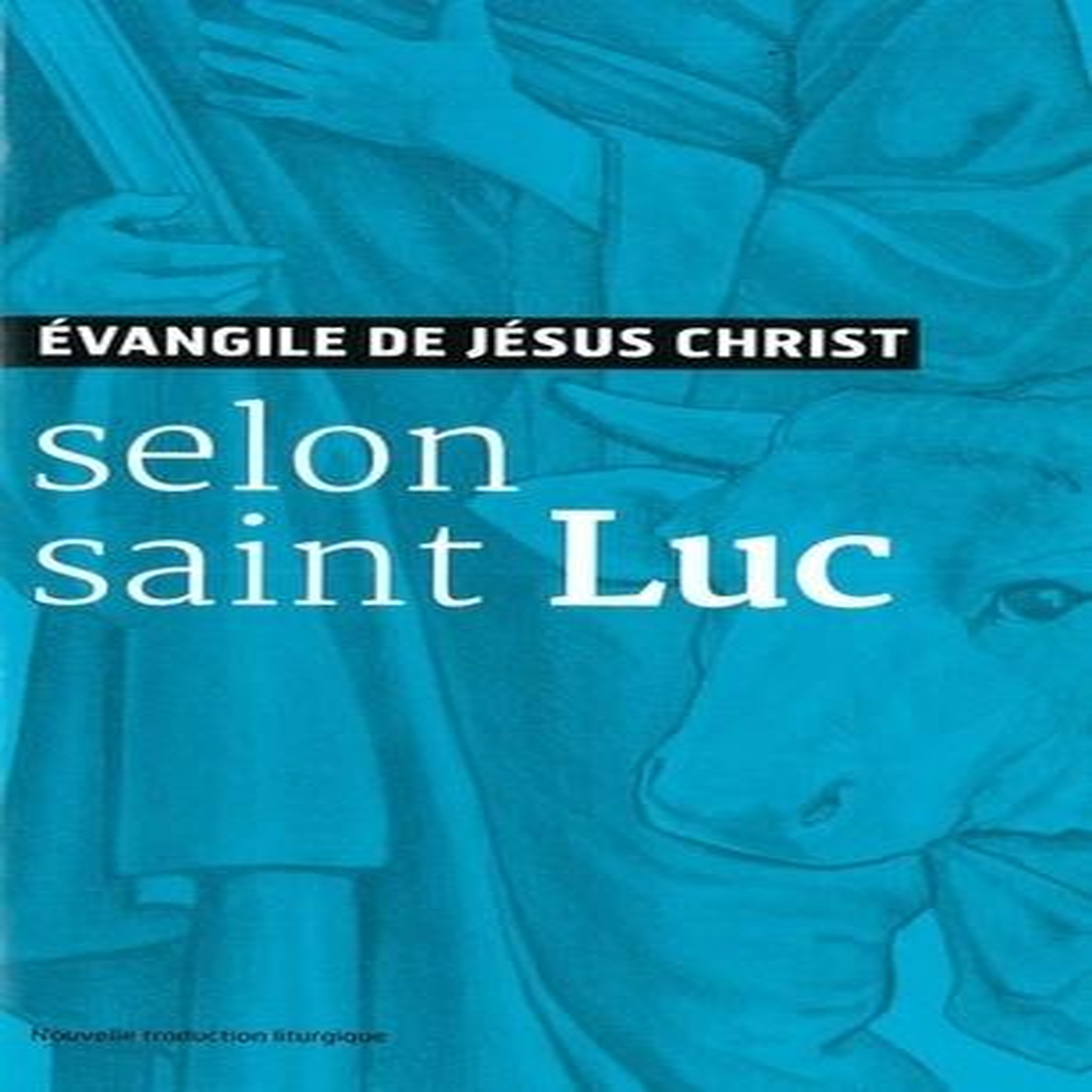 EVANGILE DE JESUS-CHRIST SELON SAINT LUC. NOUVELLE TRADUCTION LITURGIQUE, AELF