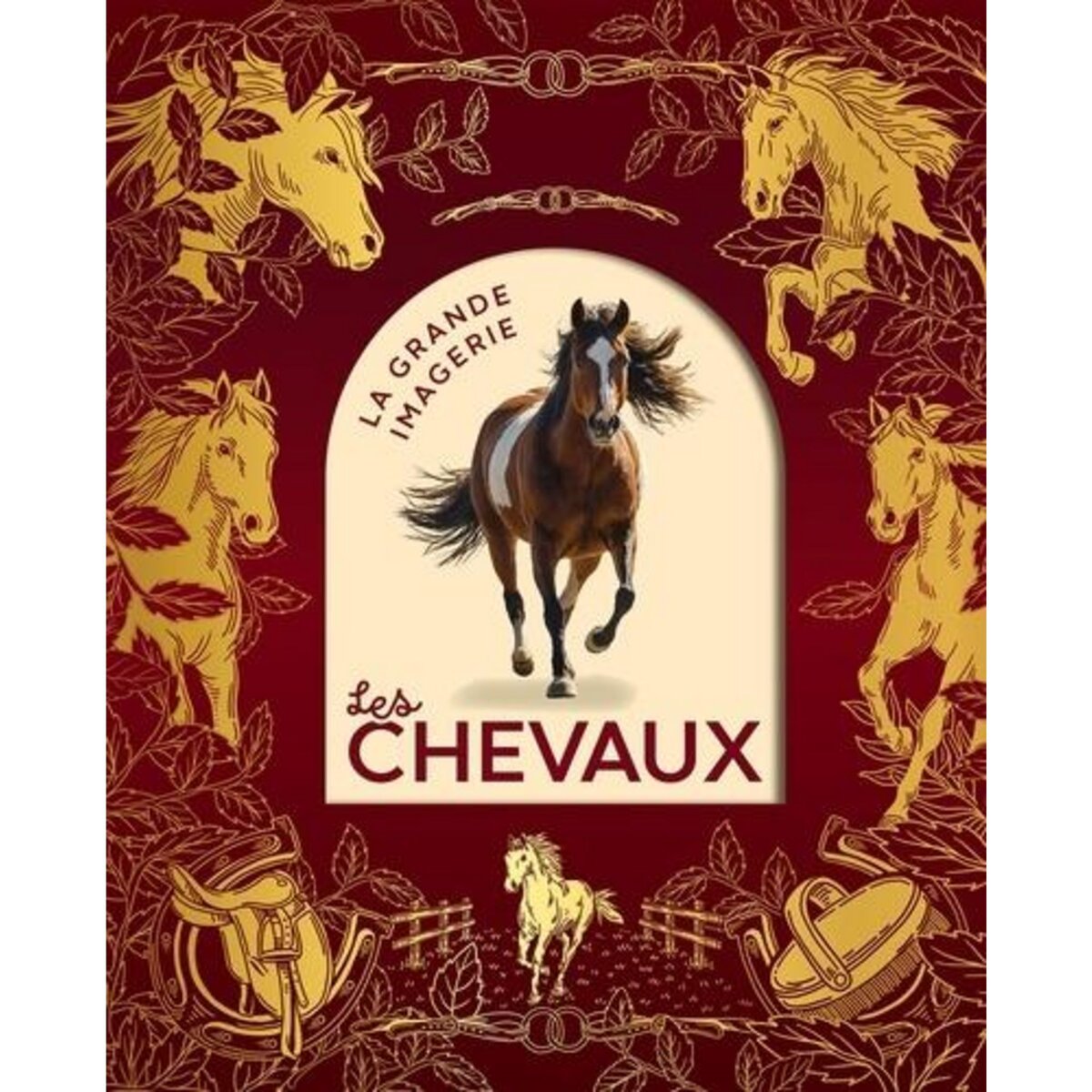 LES CHEVAUX. EDITION COLLECTOR, Vandewiele Agnès