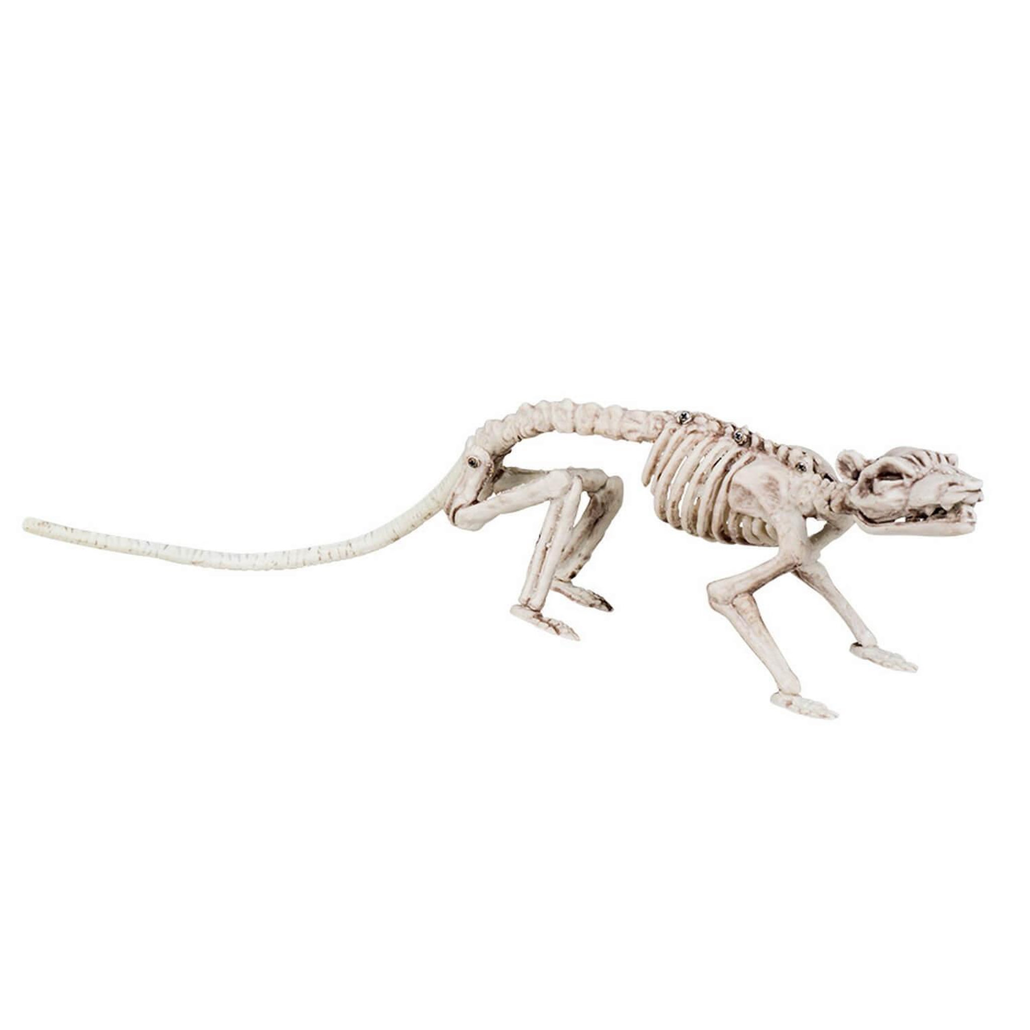 Boland Squelette de rat 35cm