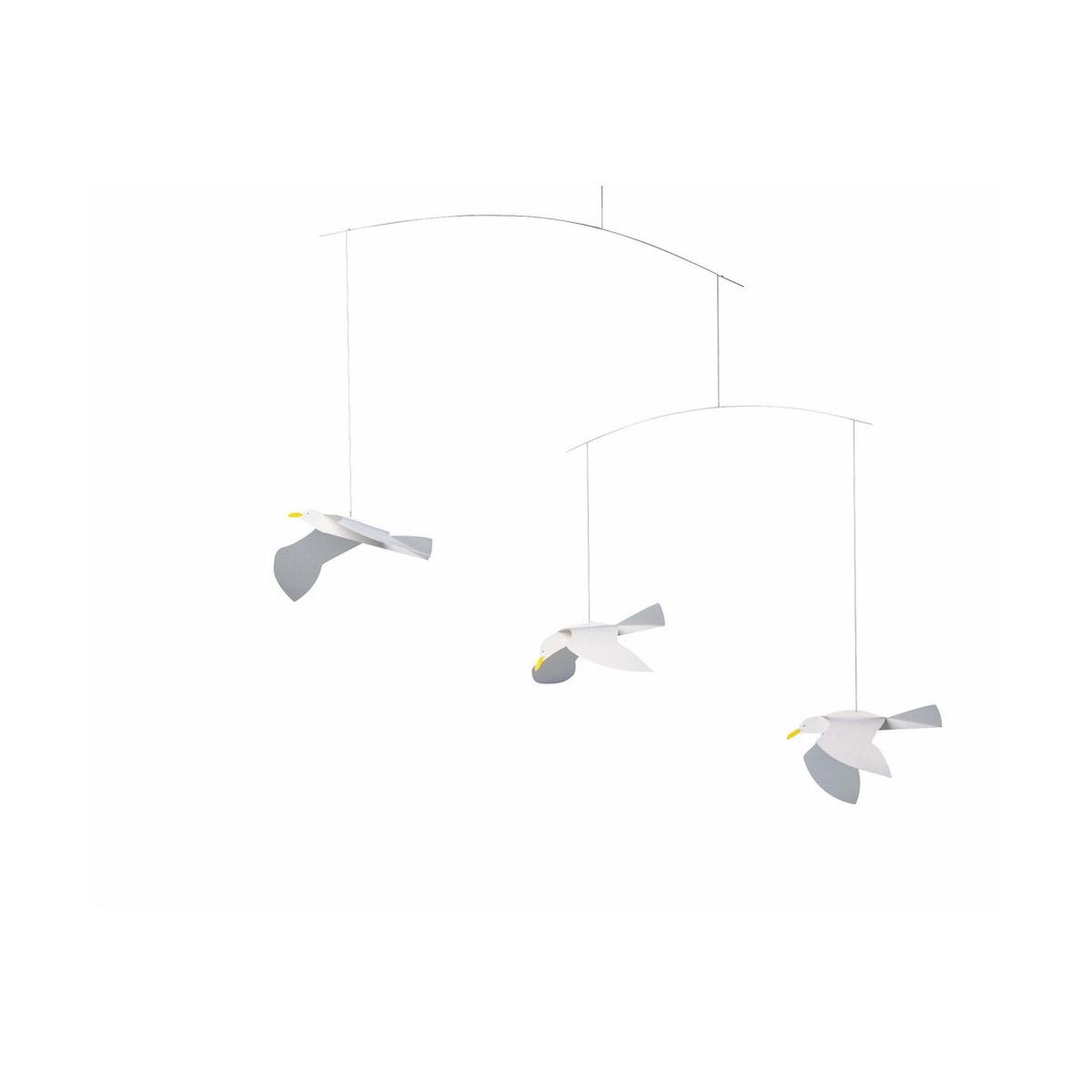Flensted Soaring Seagulls
