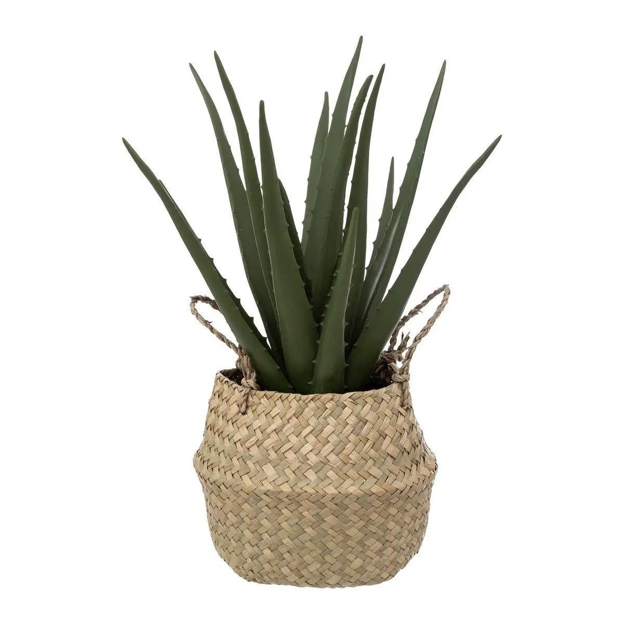 ATMOSPHERA Plante artificielle & pot  aloe vera  37cm vert