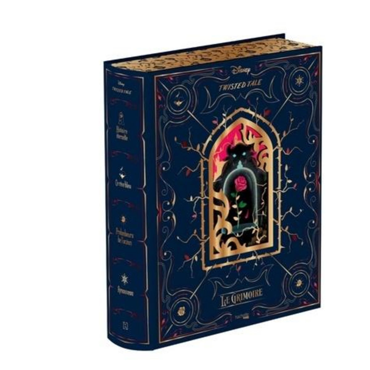 LE GRIMOIRE. HISTOIRE ETERNELLE ; CE REVE BLEU ; PROFONDEURS DE L'OCEAN ; RENOUVEAU, Braswell Liz