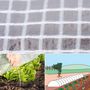 Voir la diapositive 6 : ID MARKET Bâche armée transparente 5x8 m renforcée