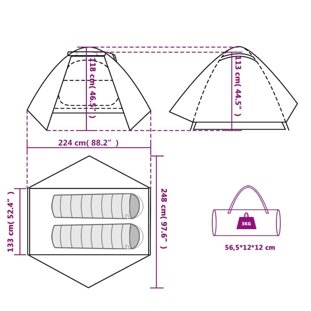 VIDAXL Tente de camping a dome 2 personne bleu impermeable