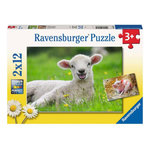 RAVENSBURGER Ravensburger - Farm animals Jigsaw puzzle, 2x12 pcs. 57184