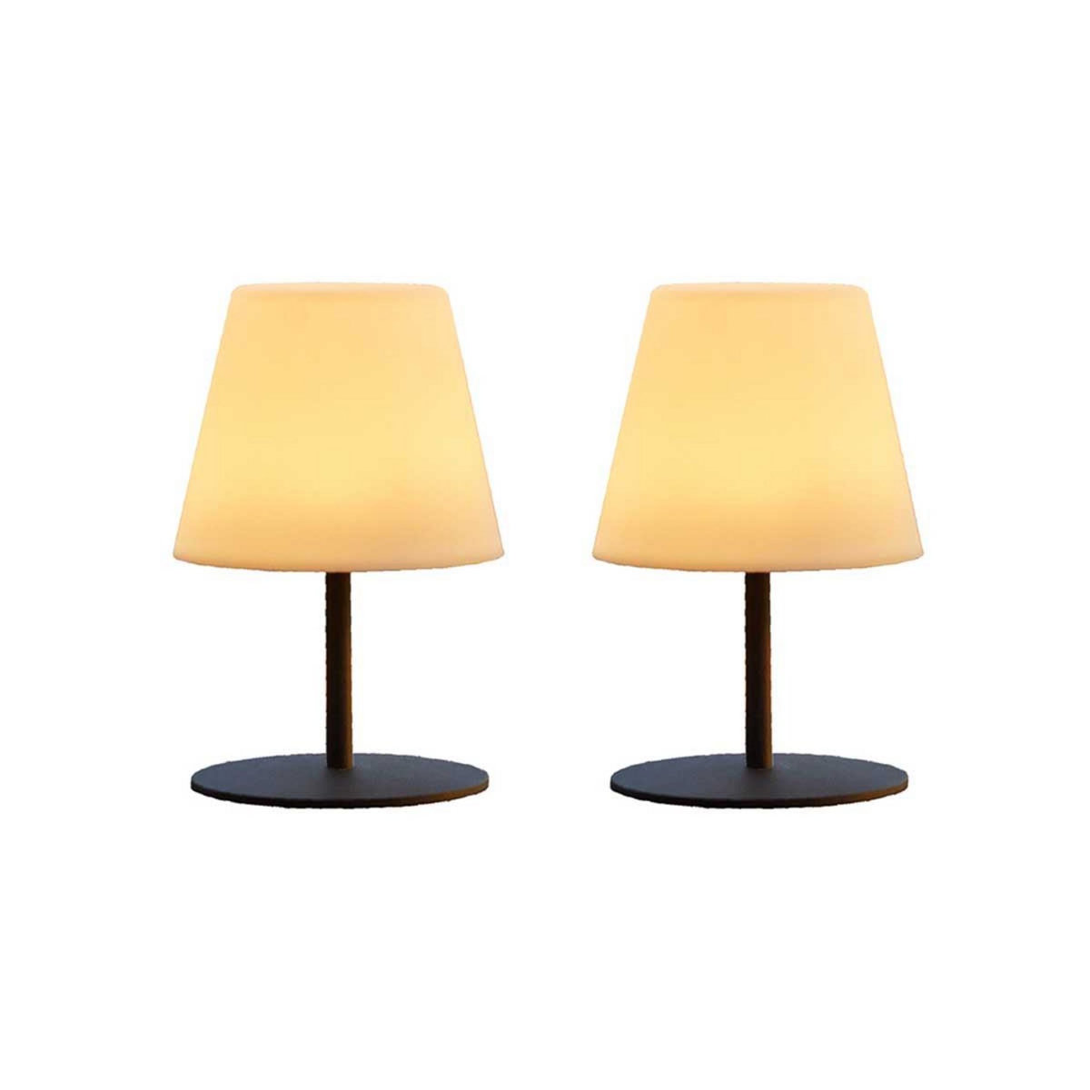 Lumisky Set de 2 lampes de table sans fil LED TWINS Gris Acier H16CM