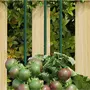 VIDAXL Piquets pour plantes de jardin 30 pcs vert 150 cm acier