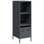 Voir la diapositive 2 : VIDAXL Buffet haut anthracite 35x39x103,5 cm acier