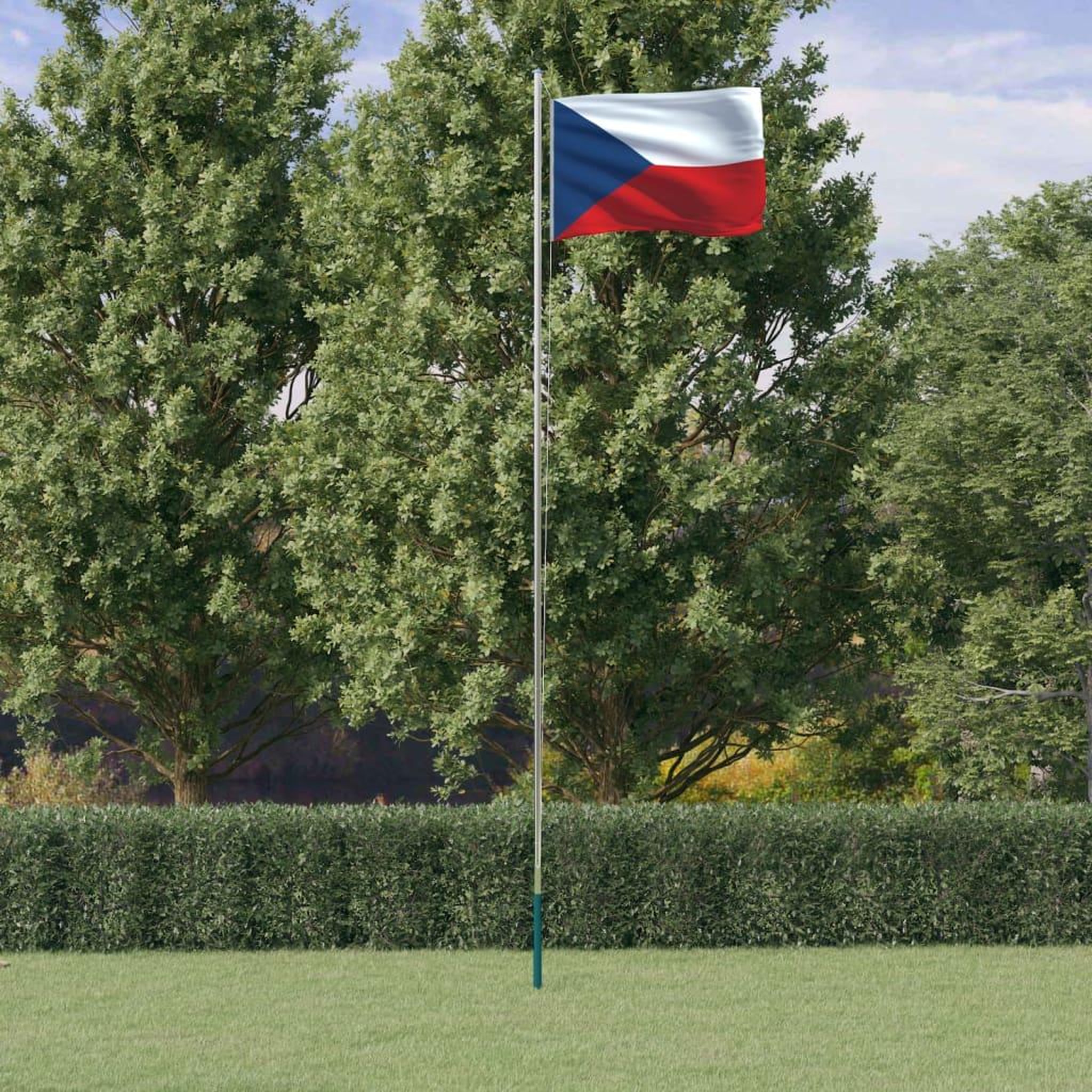 VIDAXL Drapeau tcheque et mat 6,23 m Aluminium