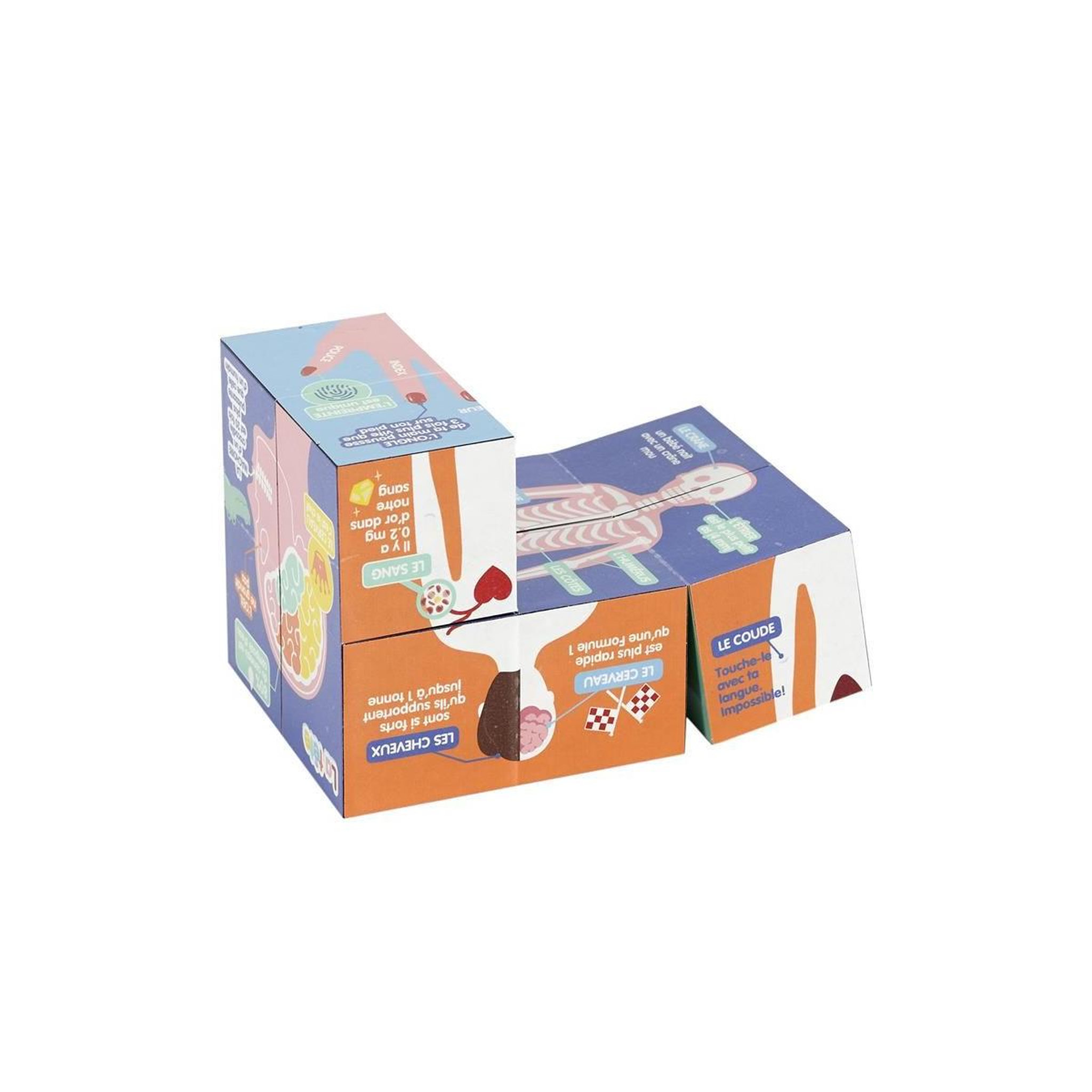Voir la diapositive 4 : Jeux 2 momes Cube educatif  corps humain  7cm multicolore