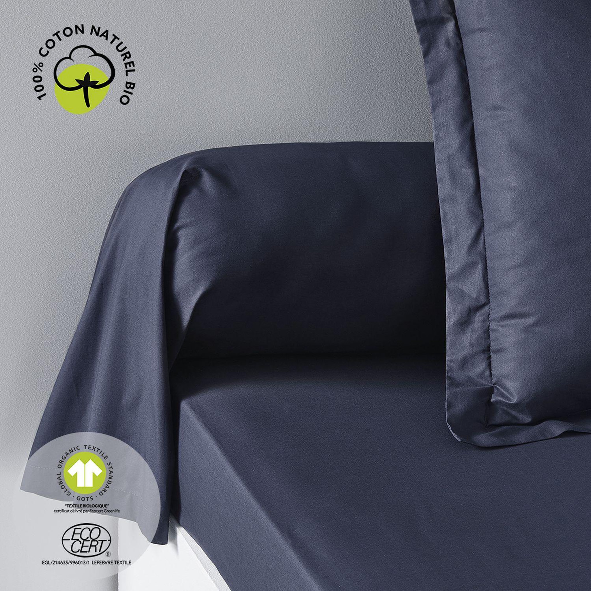 Voir la diapositive 2 : Today Taie de traversin - 100% coton BIO
