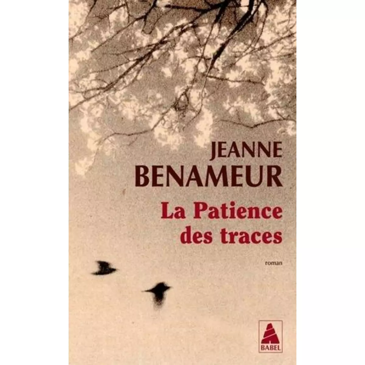  LA PATIENCE DES TRACES, Benameur Jeanne