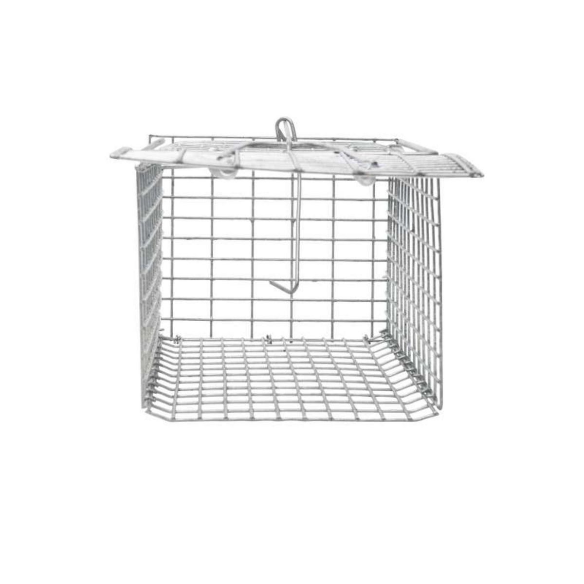  Nasse pour souris ou rat Werkapro 30,5 x 15 x 12,5 cm