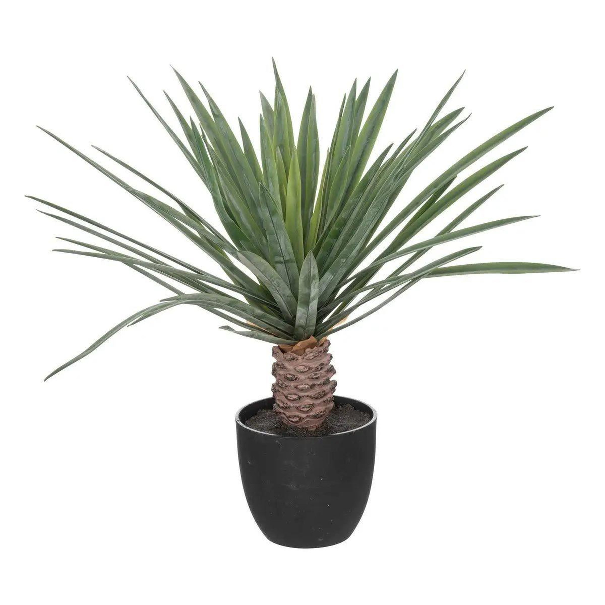 Voir la diapositive 1 : ATMOSPHERA Palmier artificiel en pot  rivi  52cm noir & vert