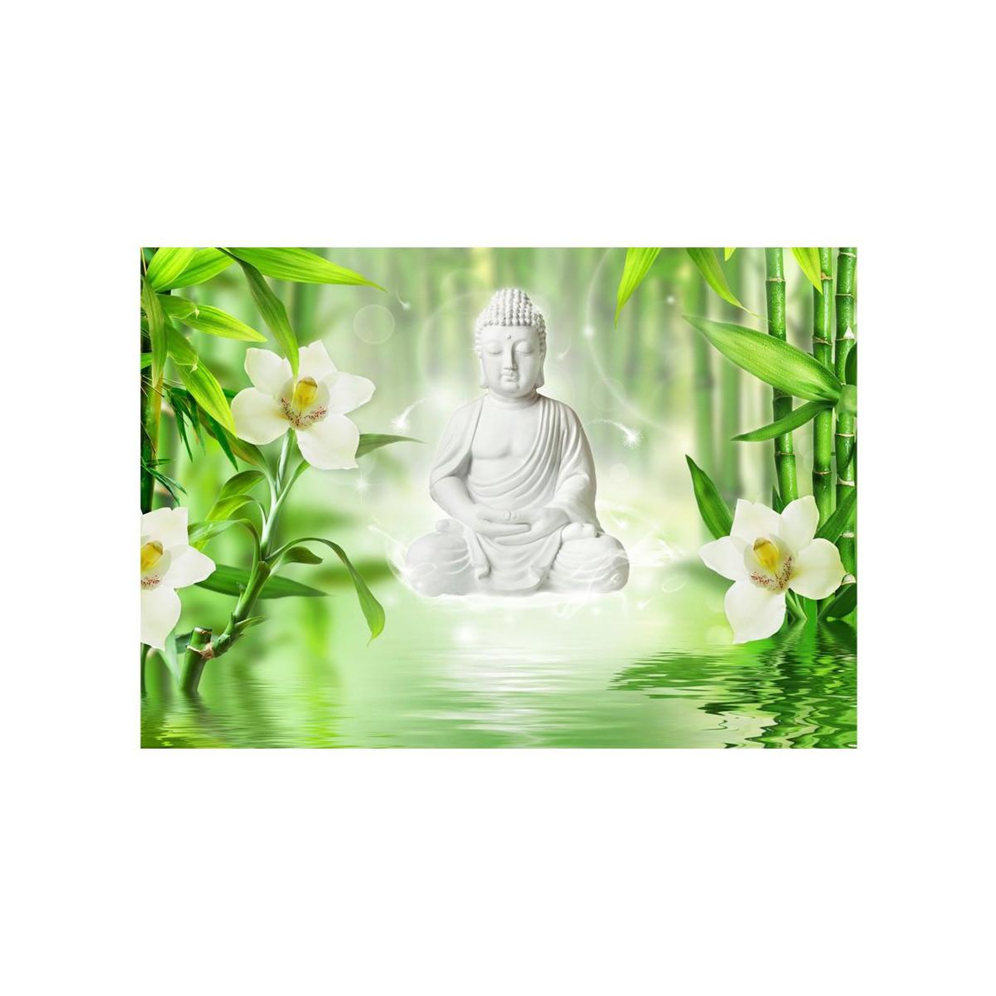 Voir la diapositive 2 : Paris Prix Papier Peint  Buddha & Nature