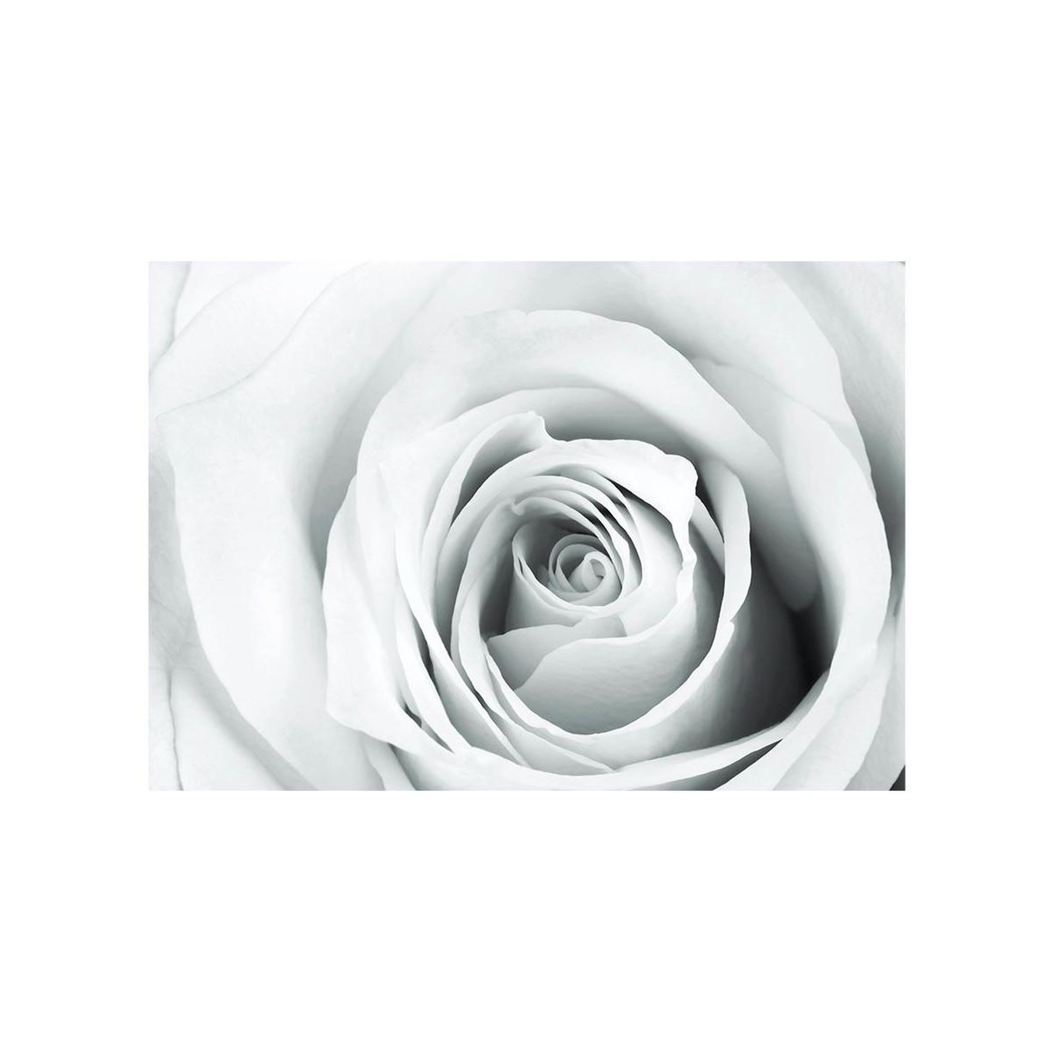 Voir la diapositive 2 : Paris Prix Papier peint  rose charade