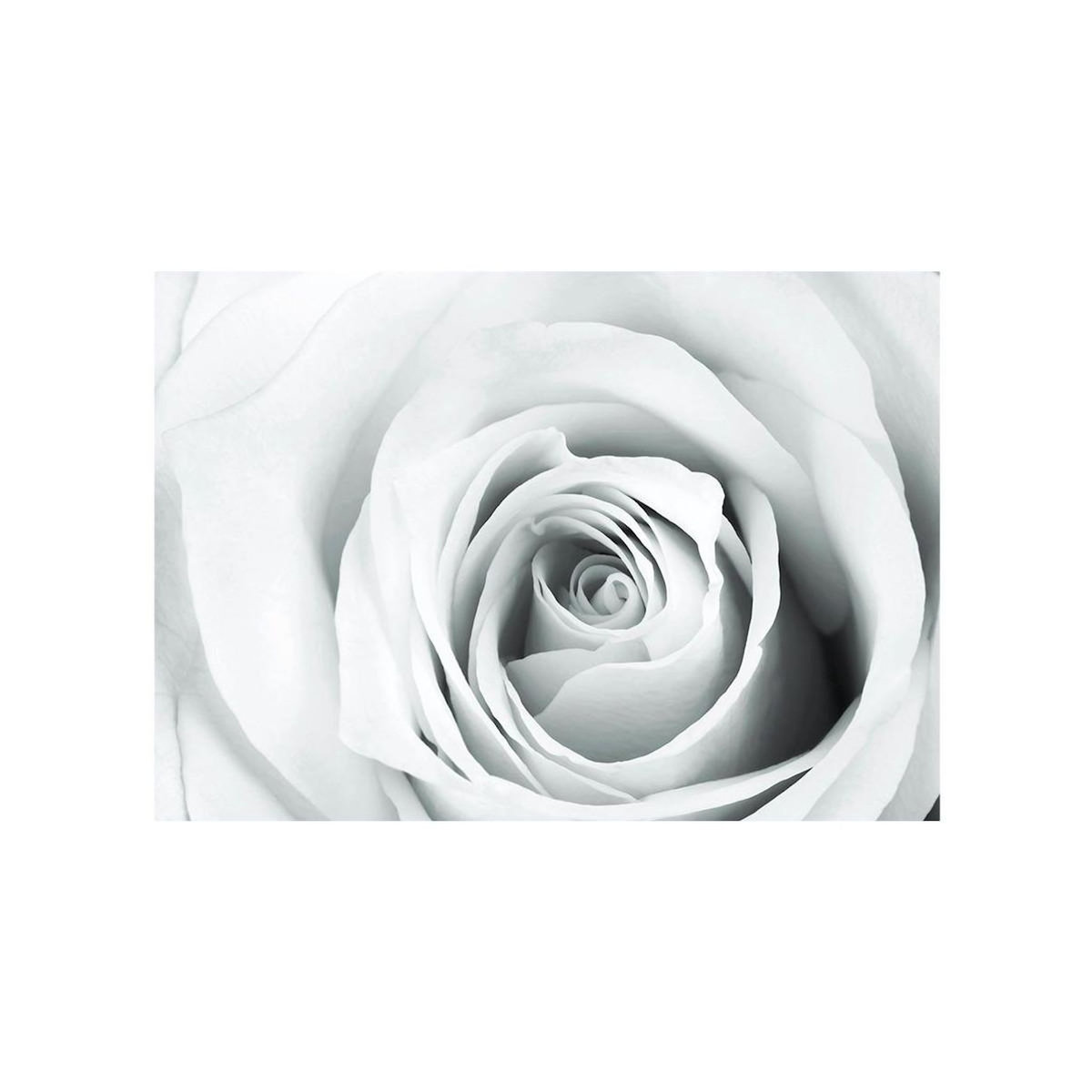 Paris Prix Papier Peint  Rose Charade