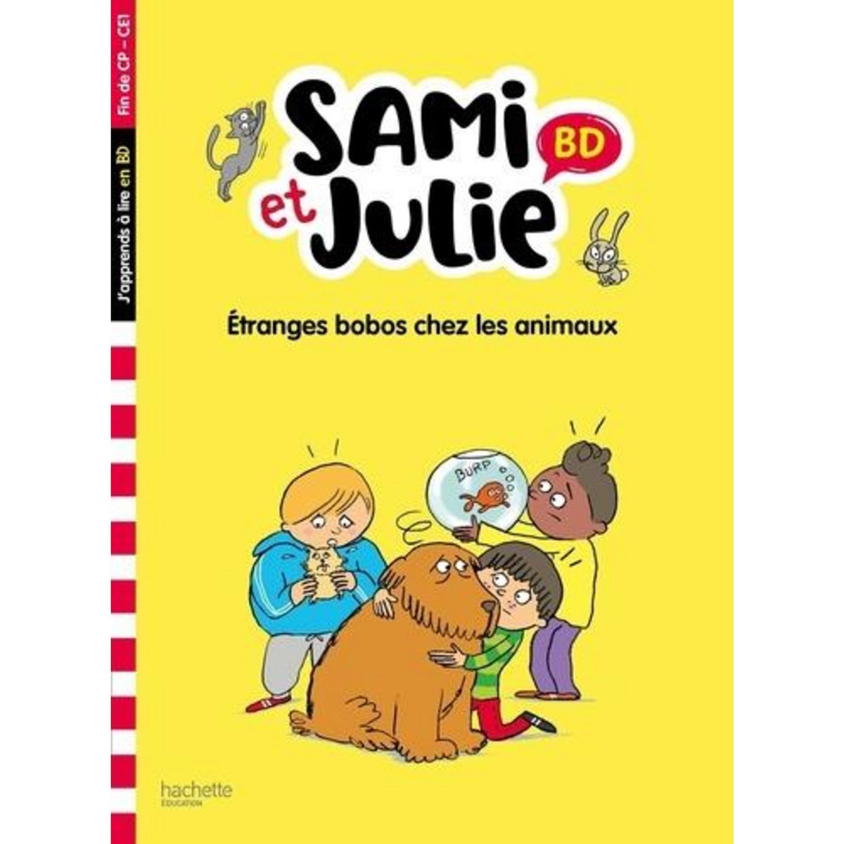 SAMI ET JULIE : ETRANGES BOBOS CHEZ LES ANIMAUX. FIN DE CP-CE1, Lebrun Sandra
