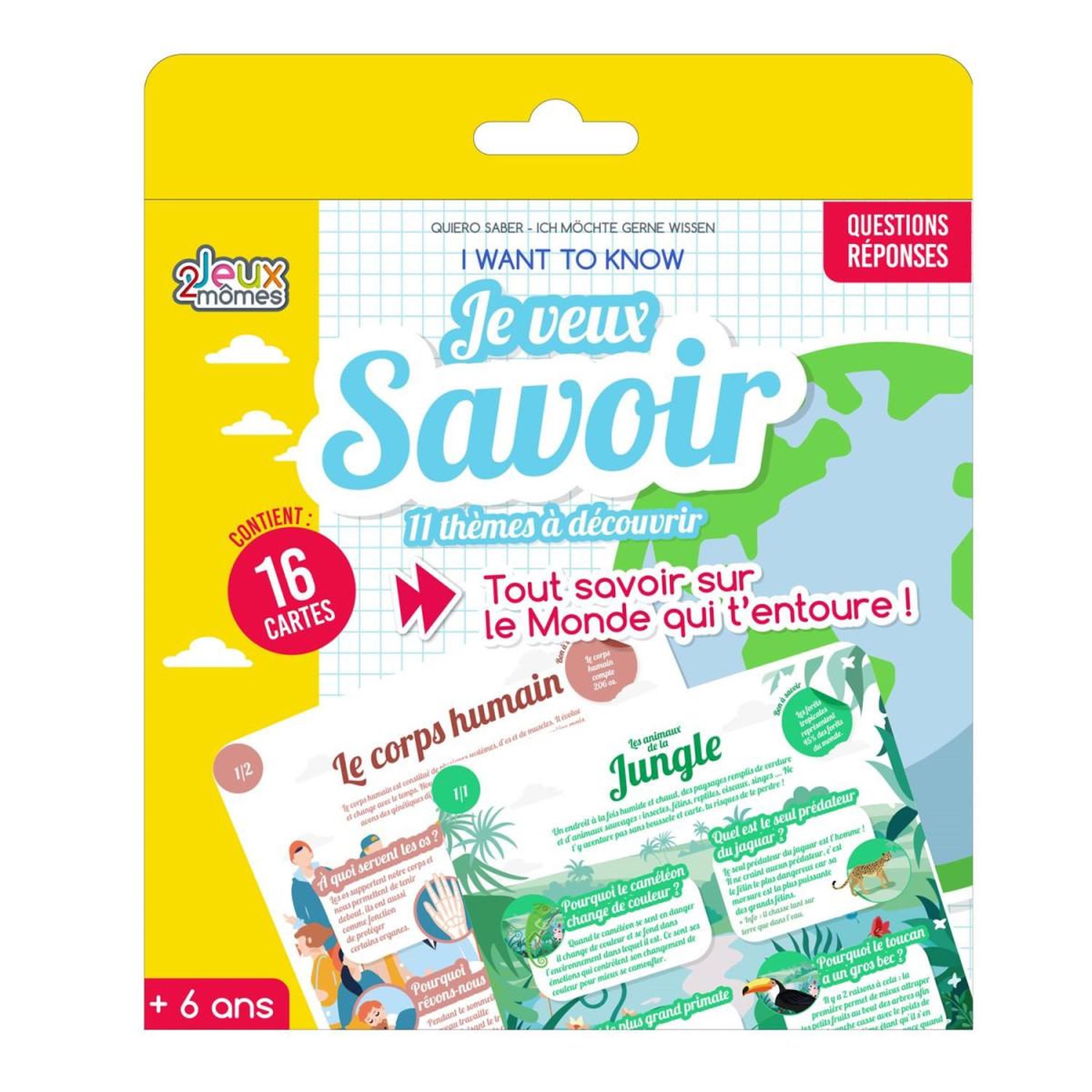 Jeux 2 momes Jeu des pourquoi  16 cartes  16cm multicolore