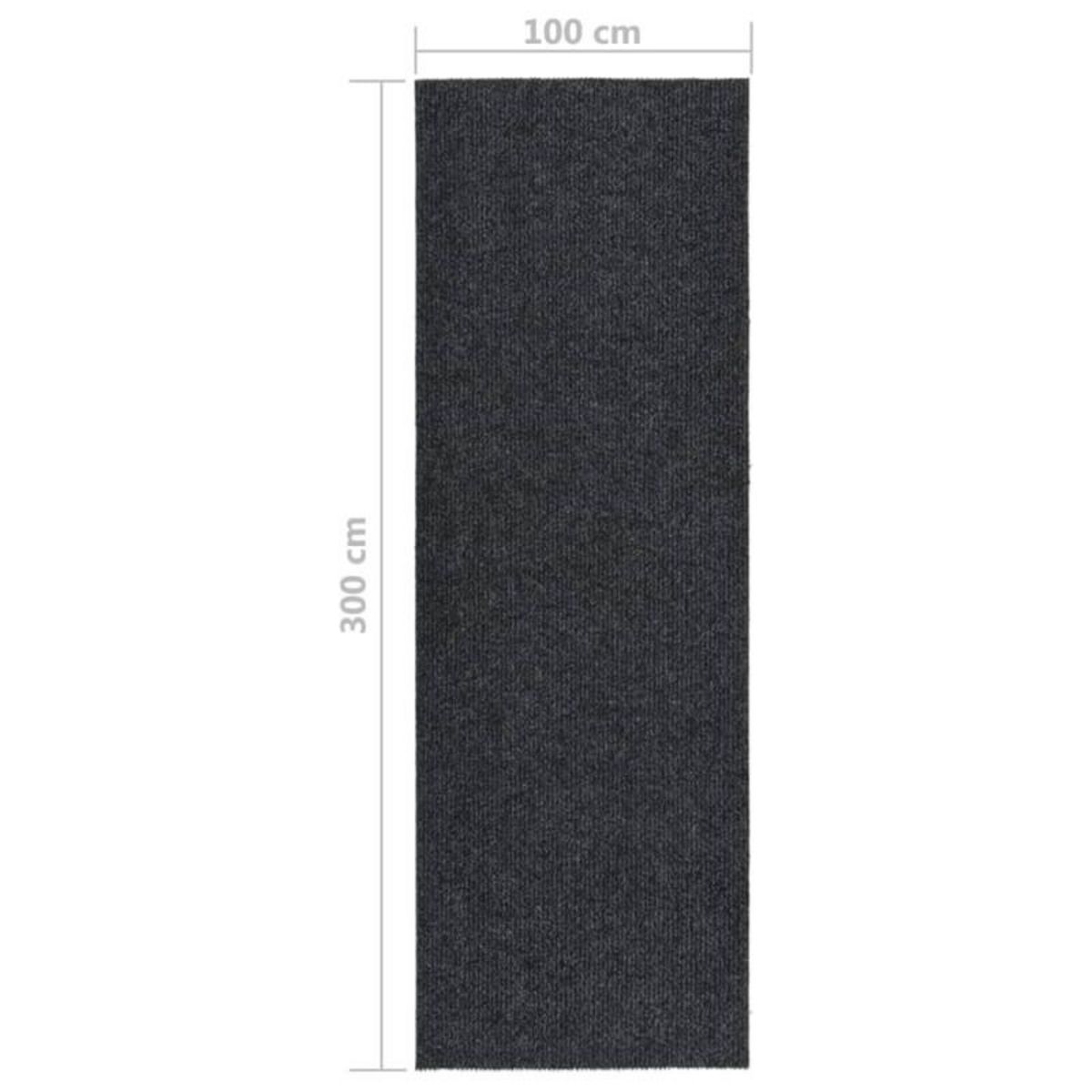 VIDAXL Tapis 100x300 cm Anthracite
