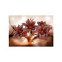 Voir la diapositive 2 : Paris Prix Papier Peint  Fiery Temperament
