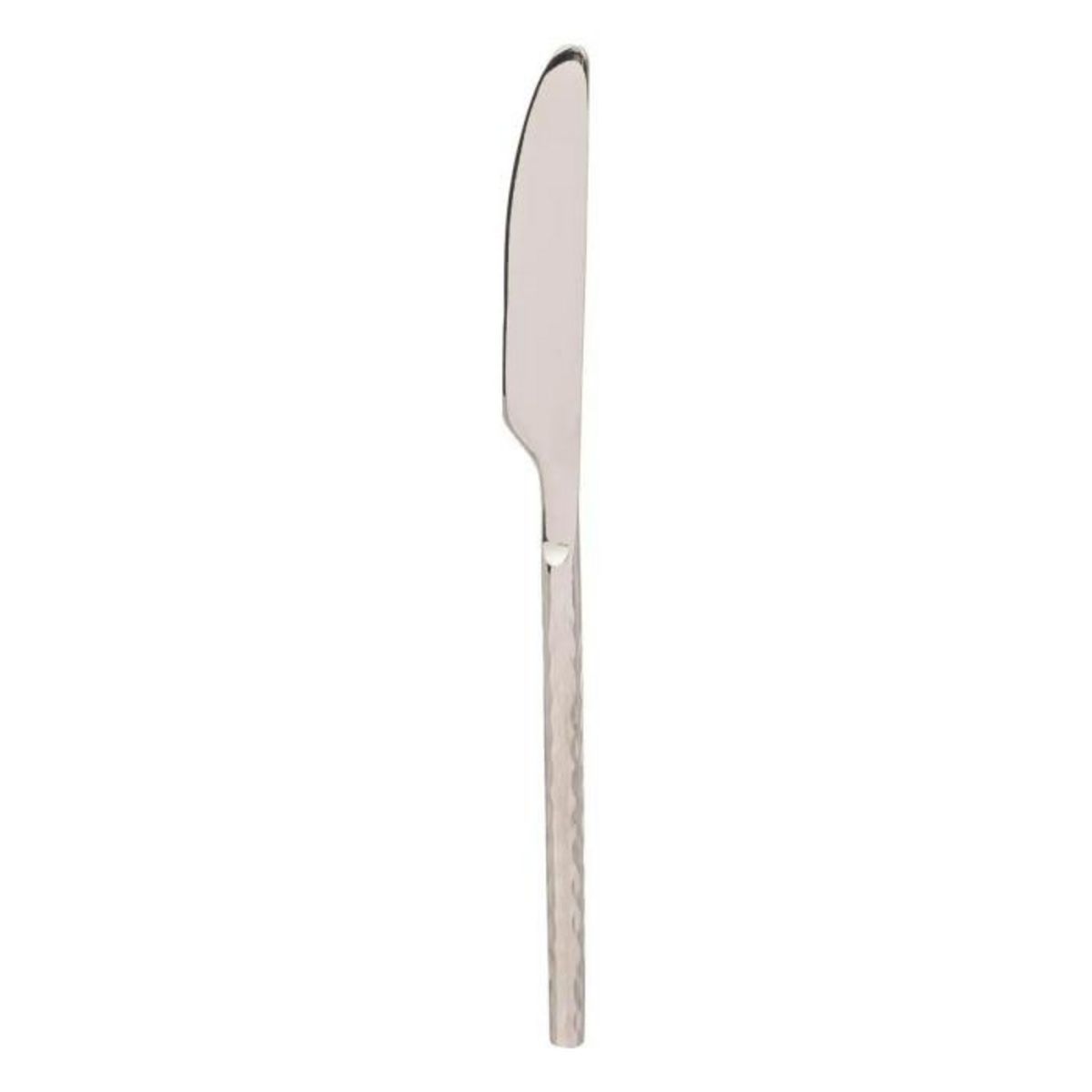 SECRET DE GOURMET Ménagère 24 Pièces Inox  Era  24cm Argent