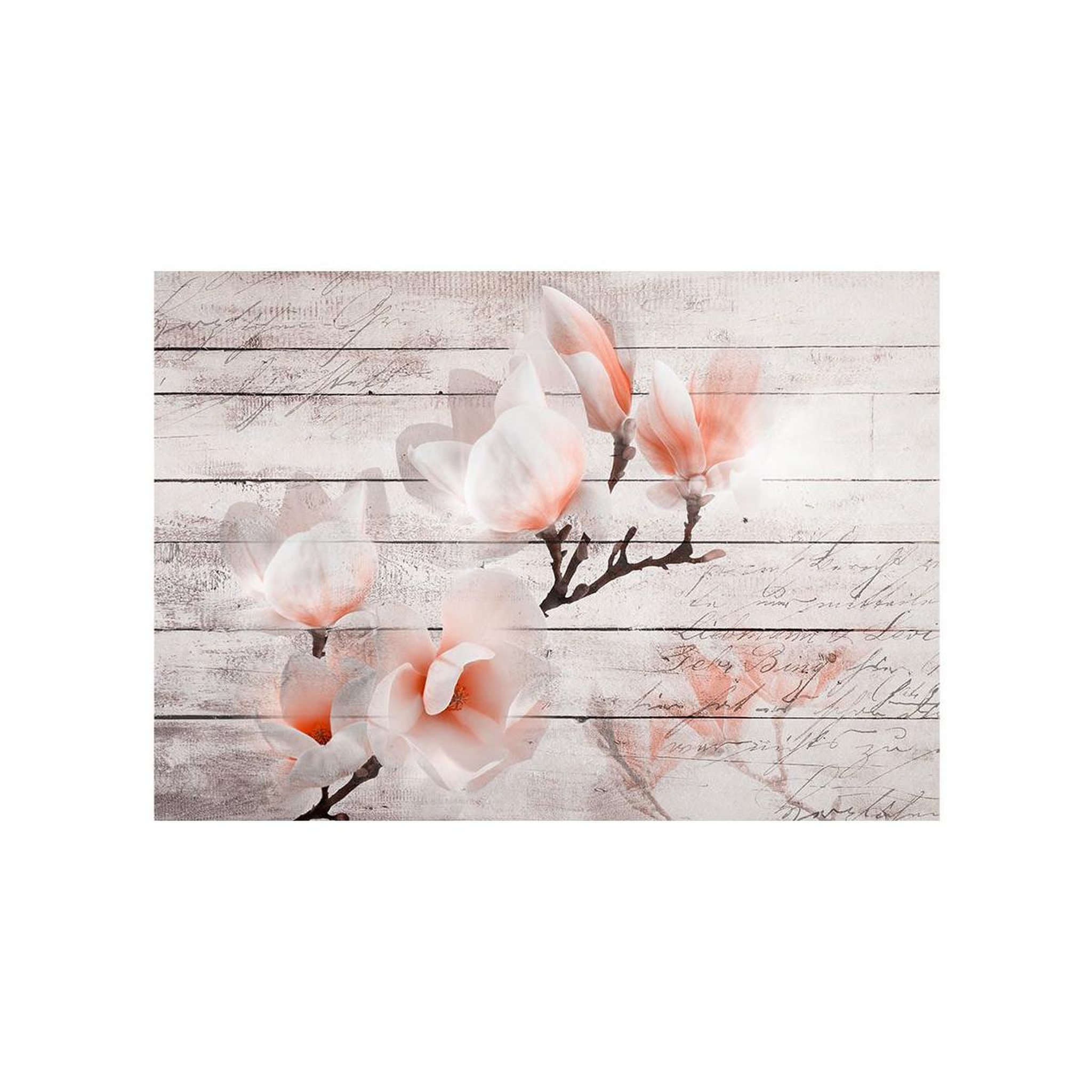 Voir la diapositive 2 : Paris Prix Papier peint  subtlety of the magnolia