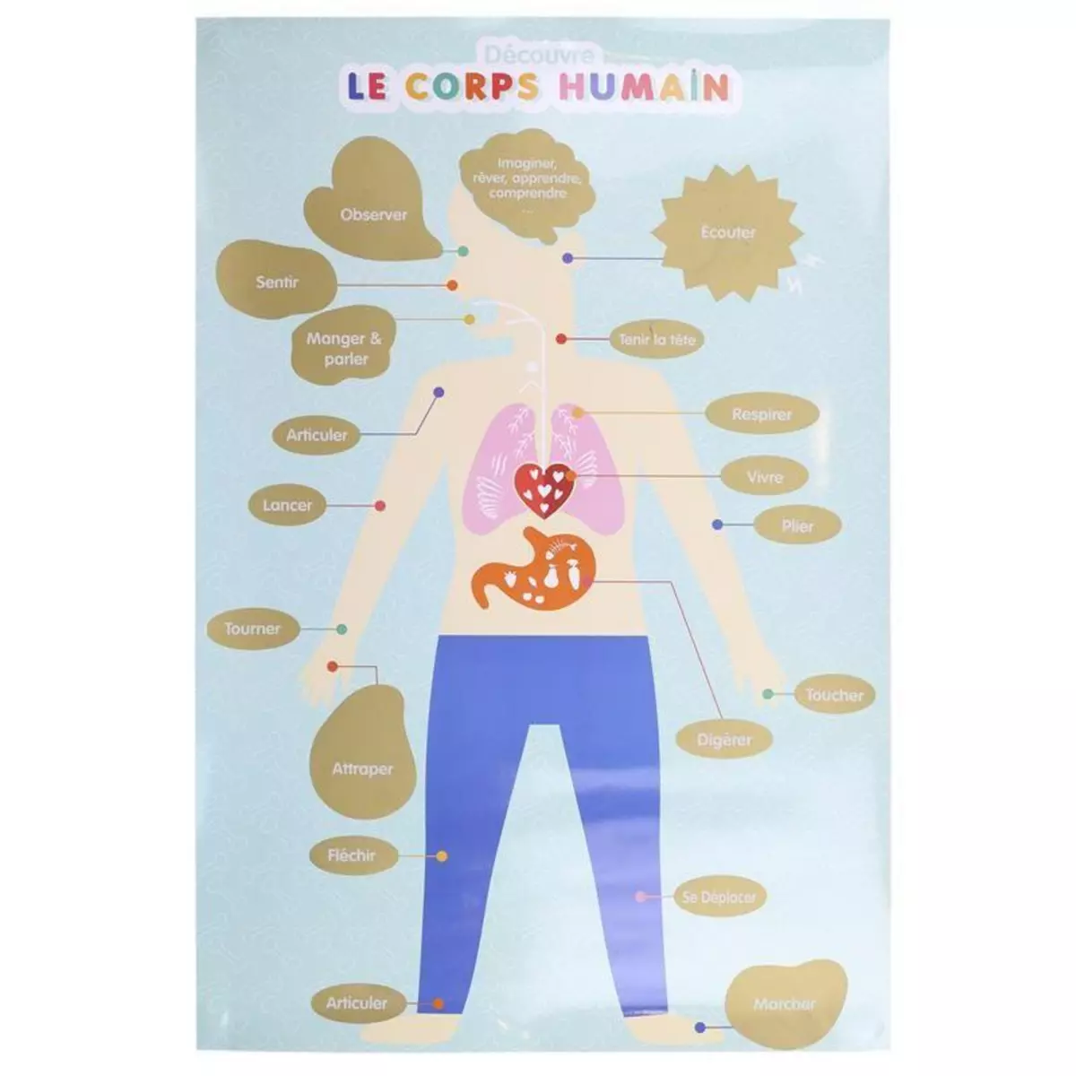 Paris Prix Poster à Gratter pour Enfant  Corps Humain  60cm Bleu