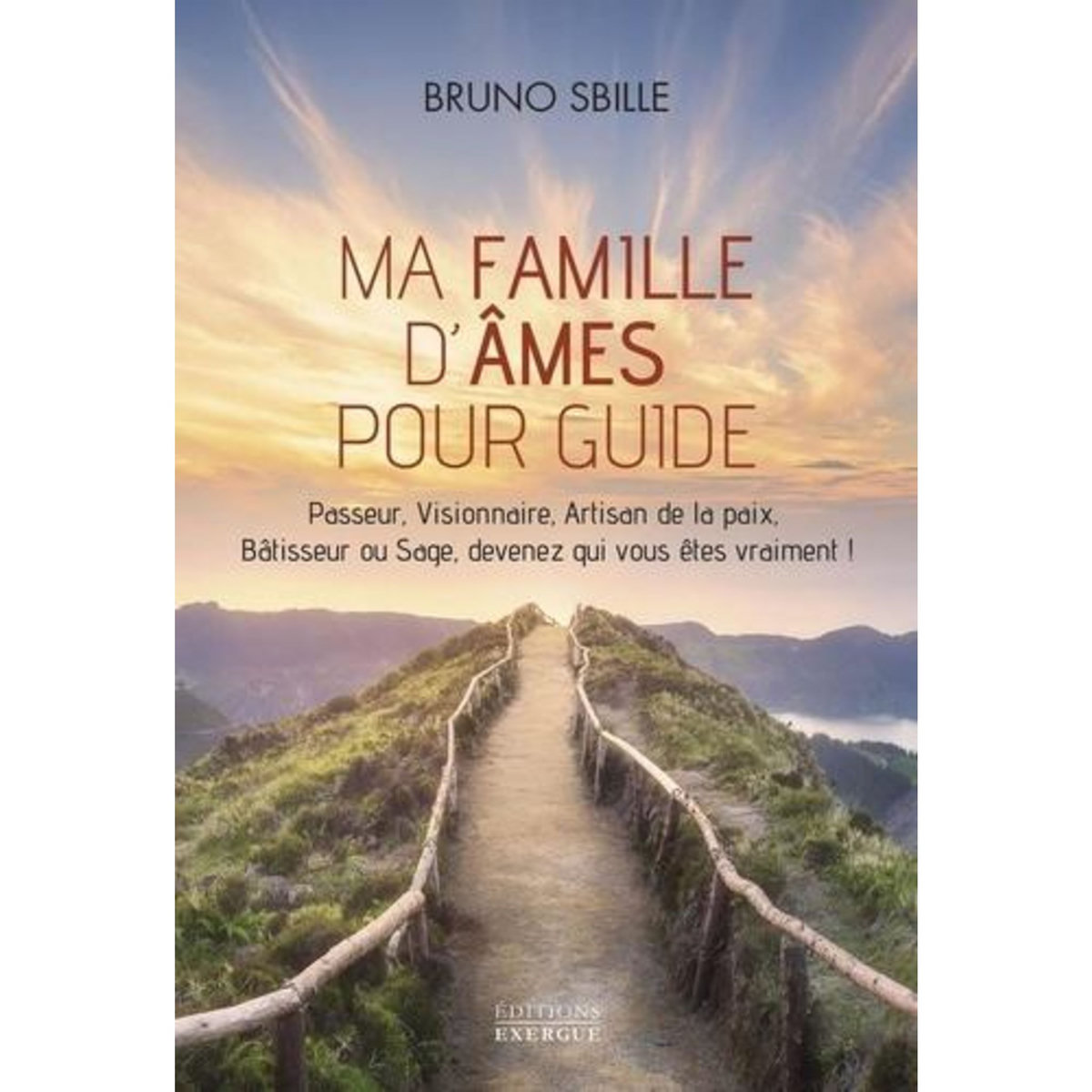 MA FAMILLE D'AMES POUR GUIDE. PASSEUR, VISIONNAIRE, ARTISAN DE LA PAIX, BATISSEUR OU SAGE, DEVENEZ QUI VOUS ETES VRAIMENT !, Sbille Bruno