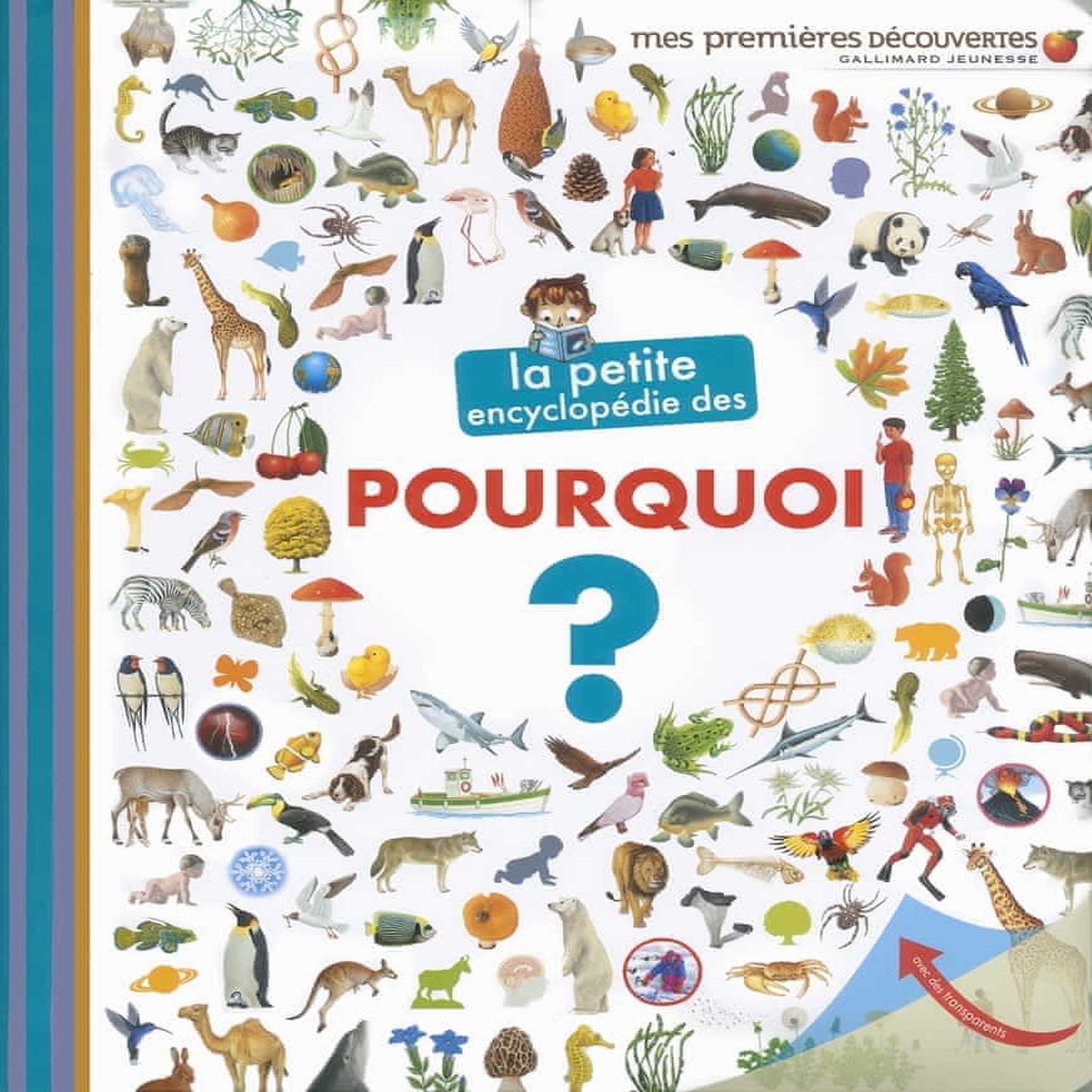 LA PETITE ENCYCLOPEDIE DES POURQUOI ?, Lamoureux Sophie