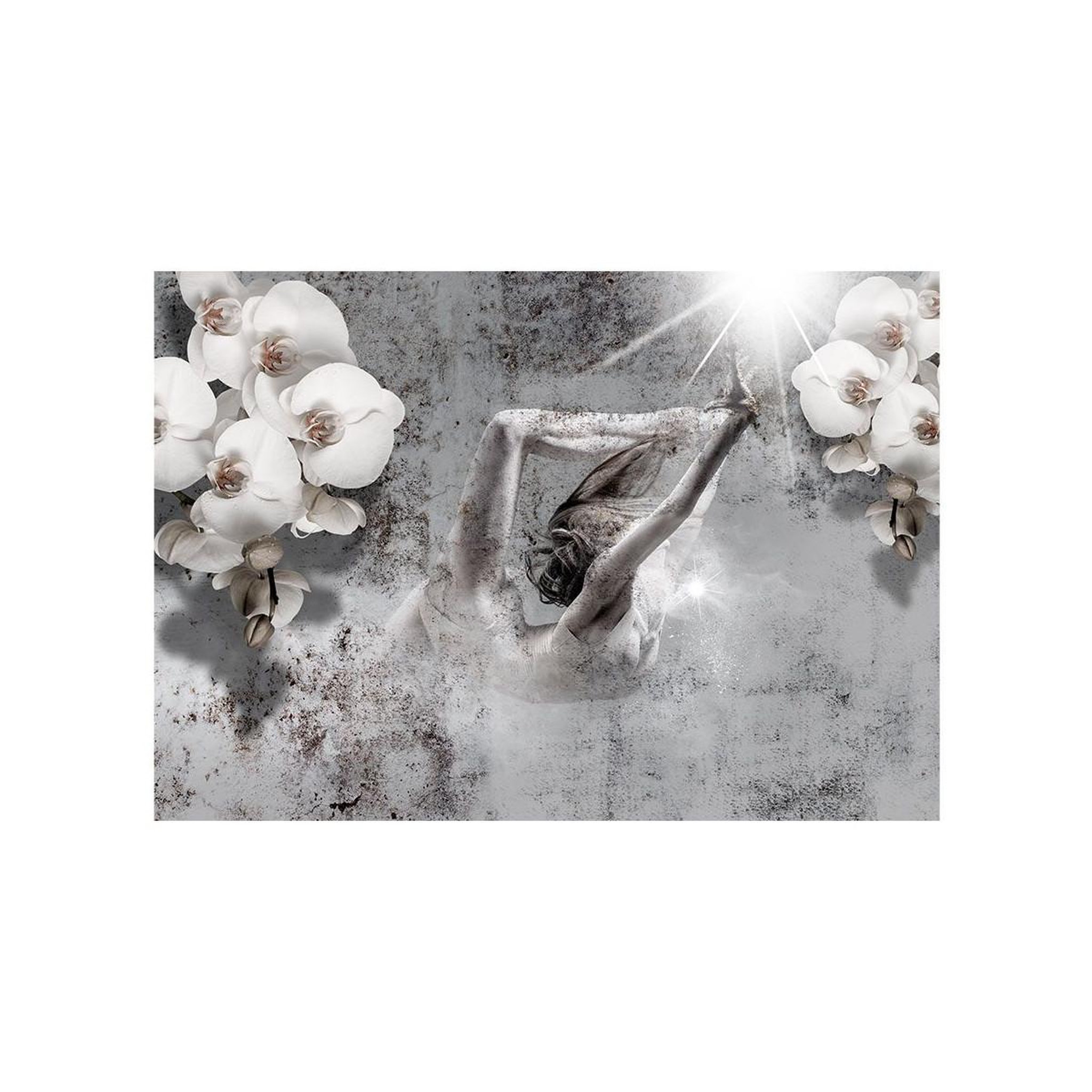 Voir la diapositive 2 : Paris Prix Papier Peint  Arrangement with Orchid