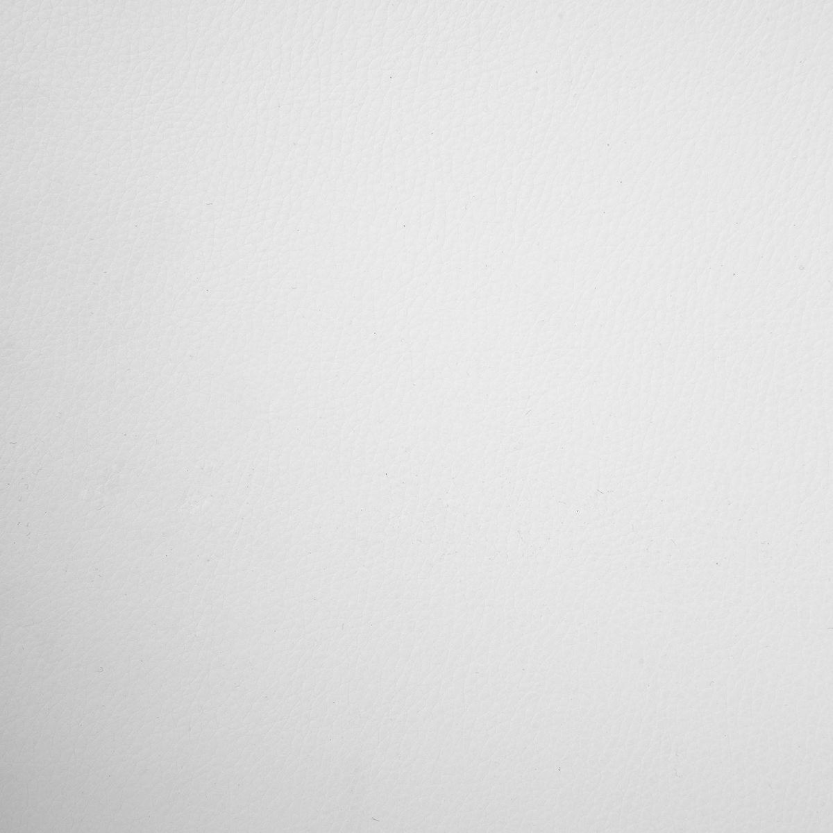 TOILINUX Lot de 2 Chaises ajustables en hauteur en polypropylène avec coussin