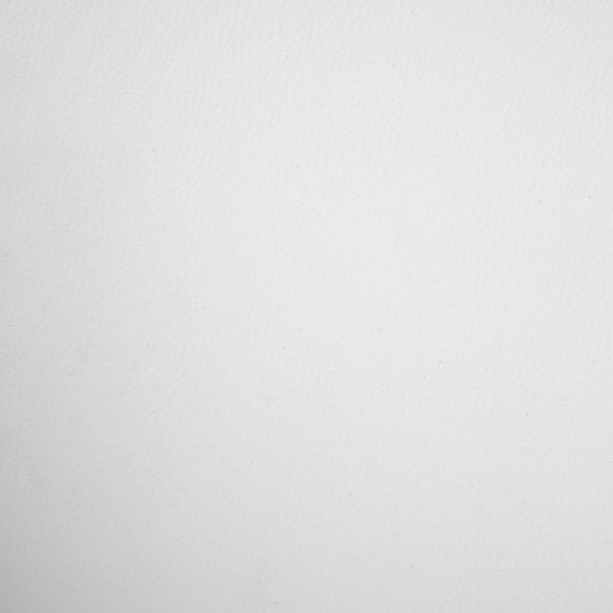 TOILINUX Lot de 2 Chaises ajustables en hauteur en polypropylène avec coussin