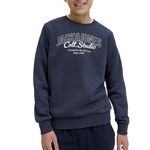 Jack & Jones Sweat  Foncé Garçon Jack & Jones Makoto. Coloris disponibles : Bleu