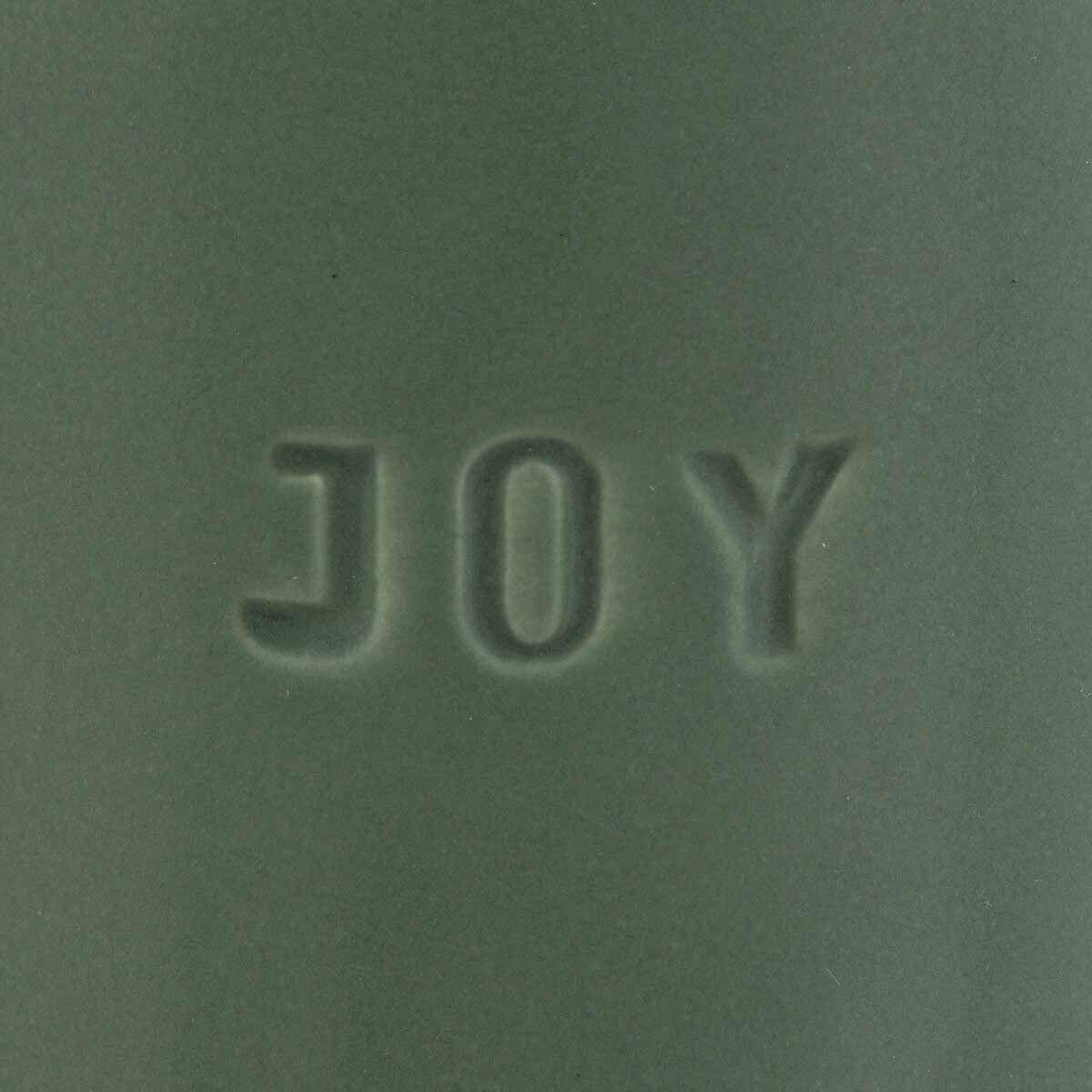 Voir la diapositive 2 : ATMOSPHERA Plante artificielle en pot  joy  20cm vert
