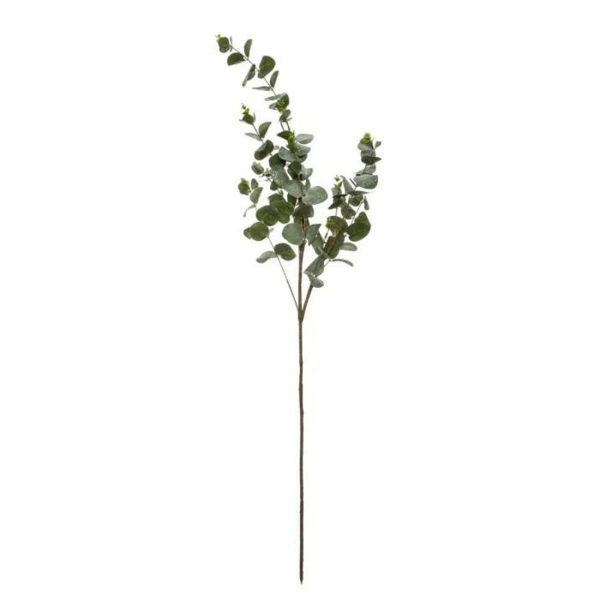 ATMOSPHERA Branche d'Eucalyptus  Génération Vintage  98cm Vert