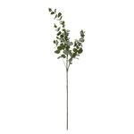 ATMOSPHERA Branche d'Eucalyptus  Génération Vintage  98cm Vert