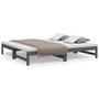 Voir la diapositive 2 : VIDAXL Lit coulissant sans matelas gris 2x(90x190) cm
