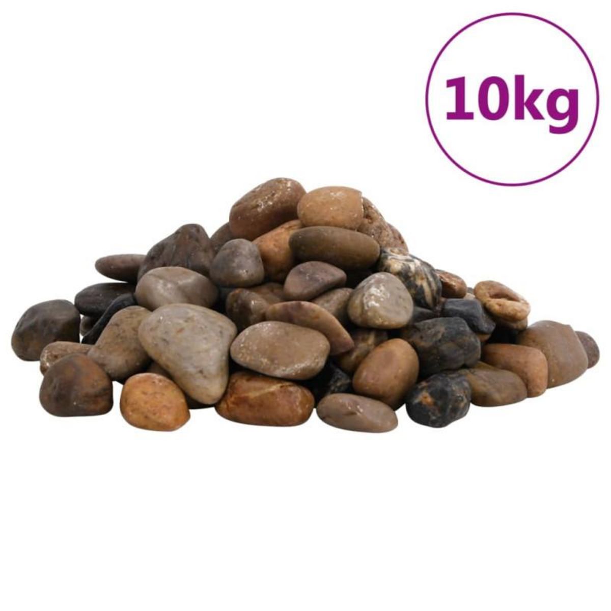 VIDAXL Galets polis 10 kg multicolores 2 5 cm