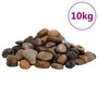Voir la diapositive 2 : VIDAXL Galets polis 10 kg multicolores 2 5 cm
