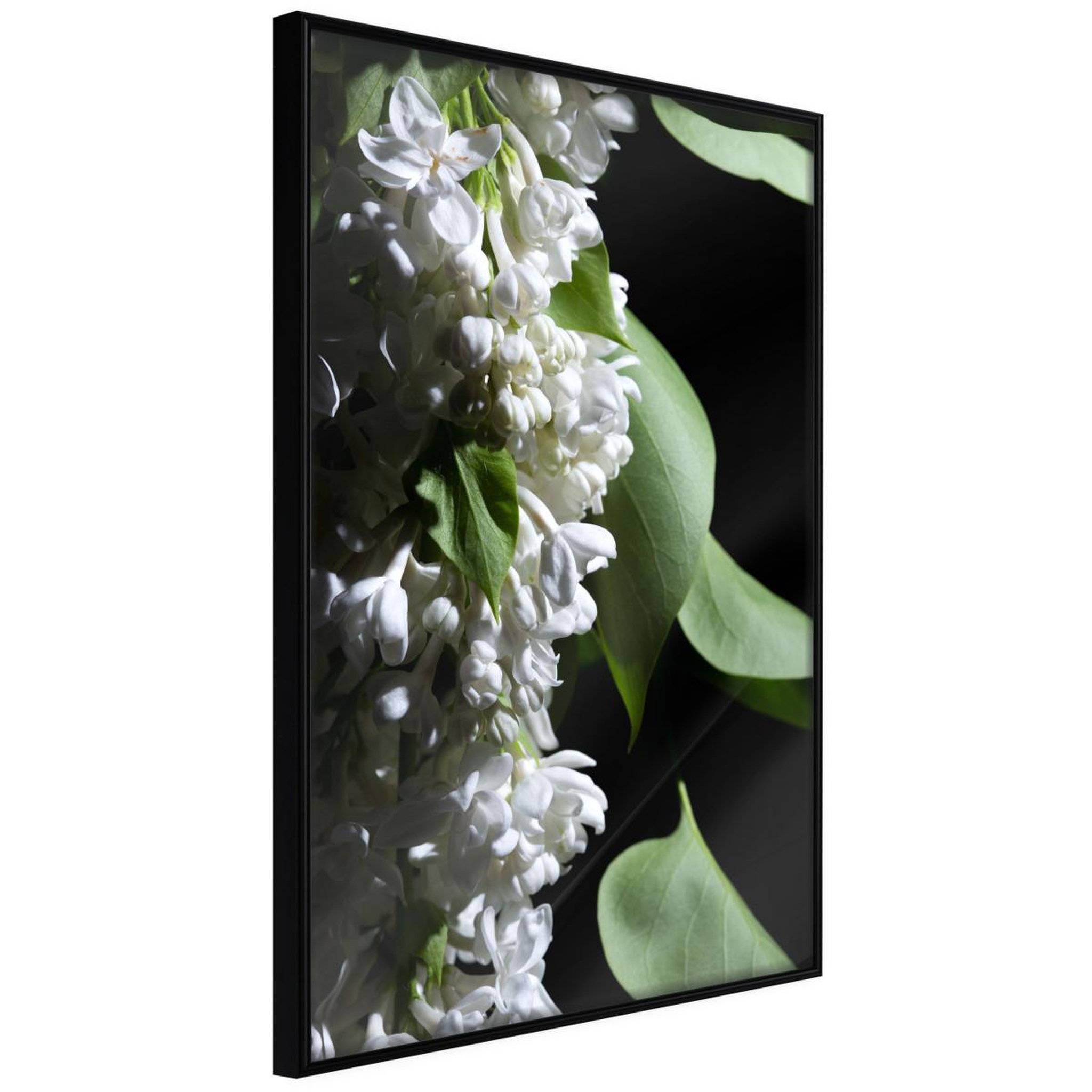 Paris Prix Affiche Murale Encadrée  Fragrant Spring
