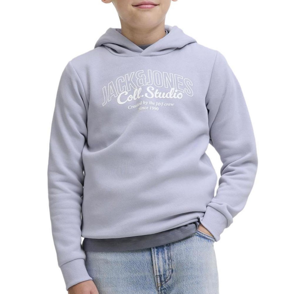 Jack & Jones Sweat à Capuche Mauve Garçon Jack & Jones Makoto