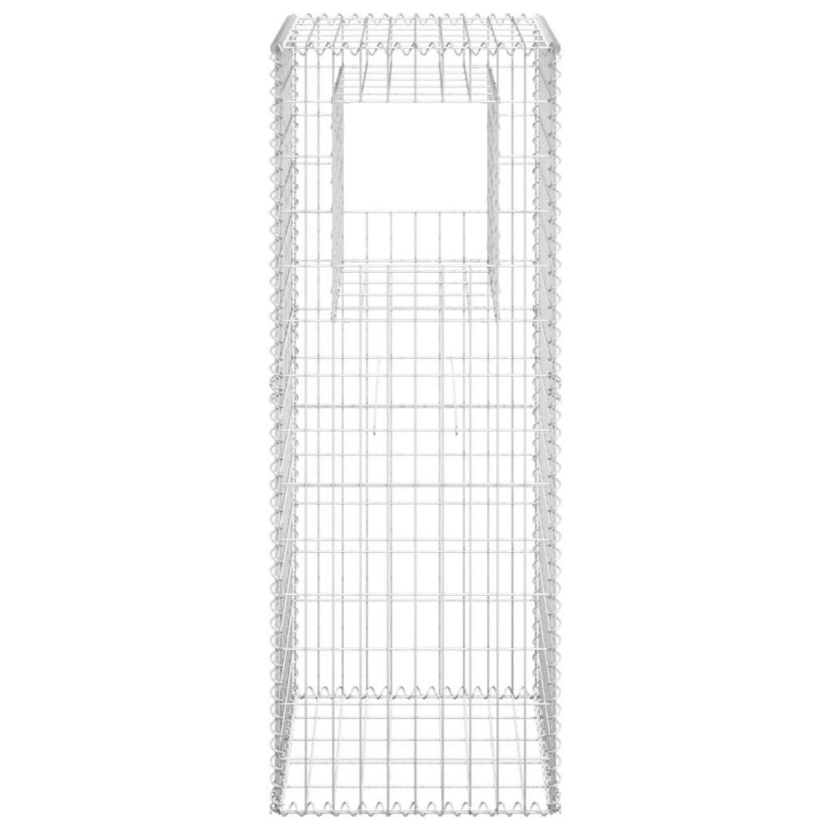 VIDAXL Poteaux a panier de gabion 2 pcs 50x50x140 cm Fer