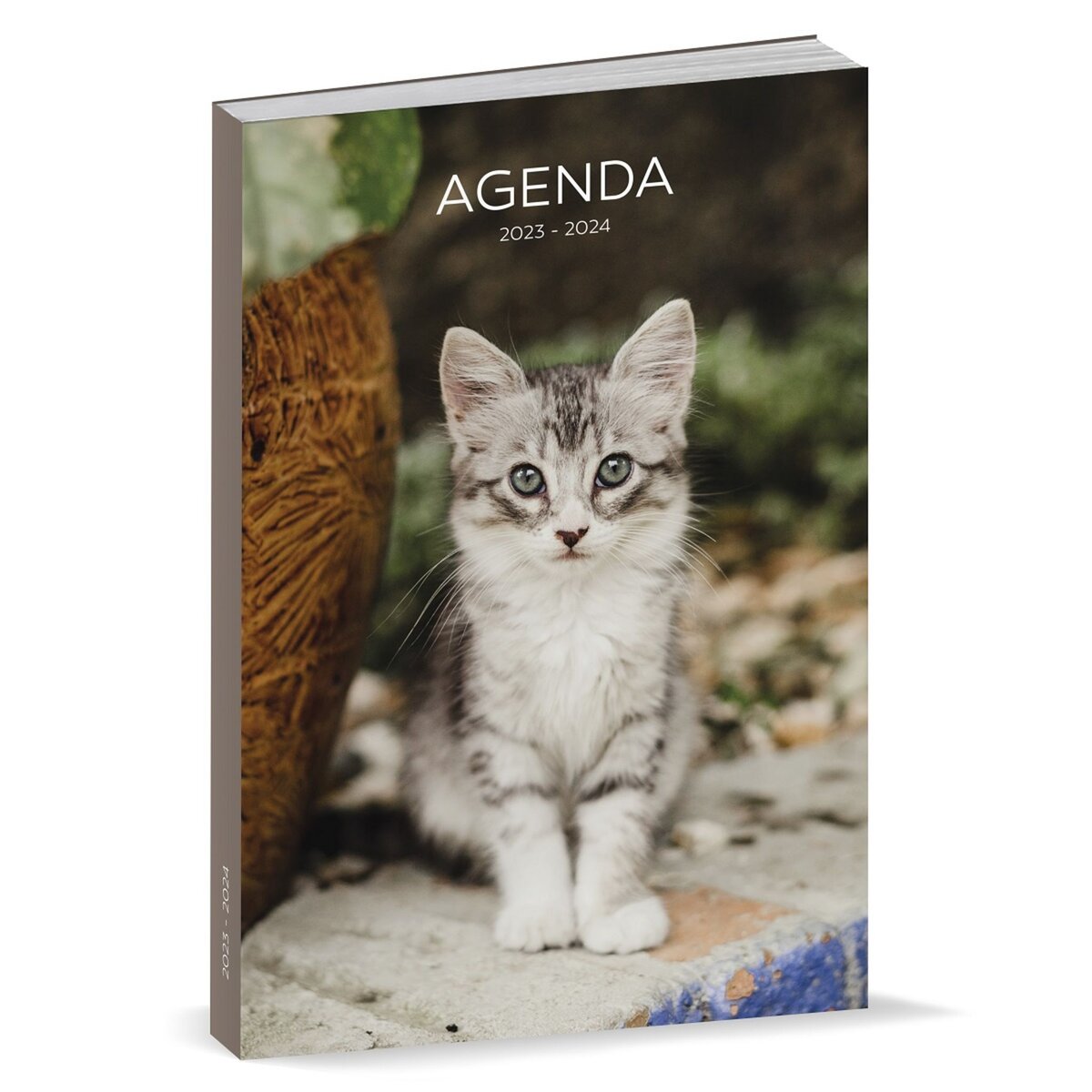  AGENDA SCOLAIRE 2023-2024: Chats chatons nuit nature