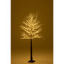 Voir la diapositive 6 : Paris Prix Arbre 2000 LED  Automn  180cm Marron