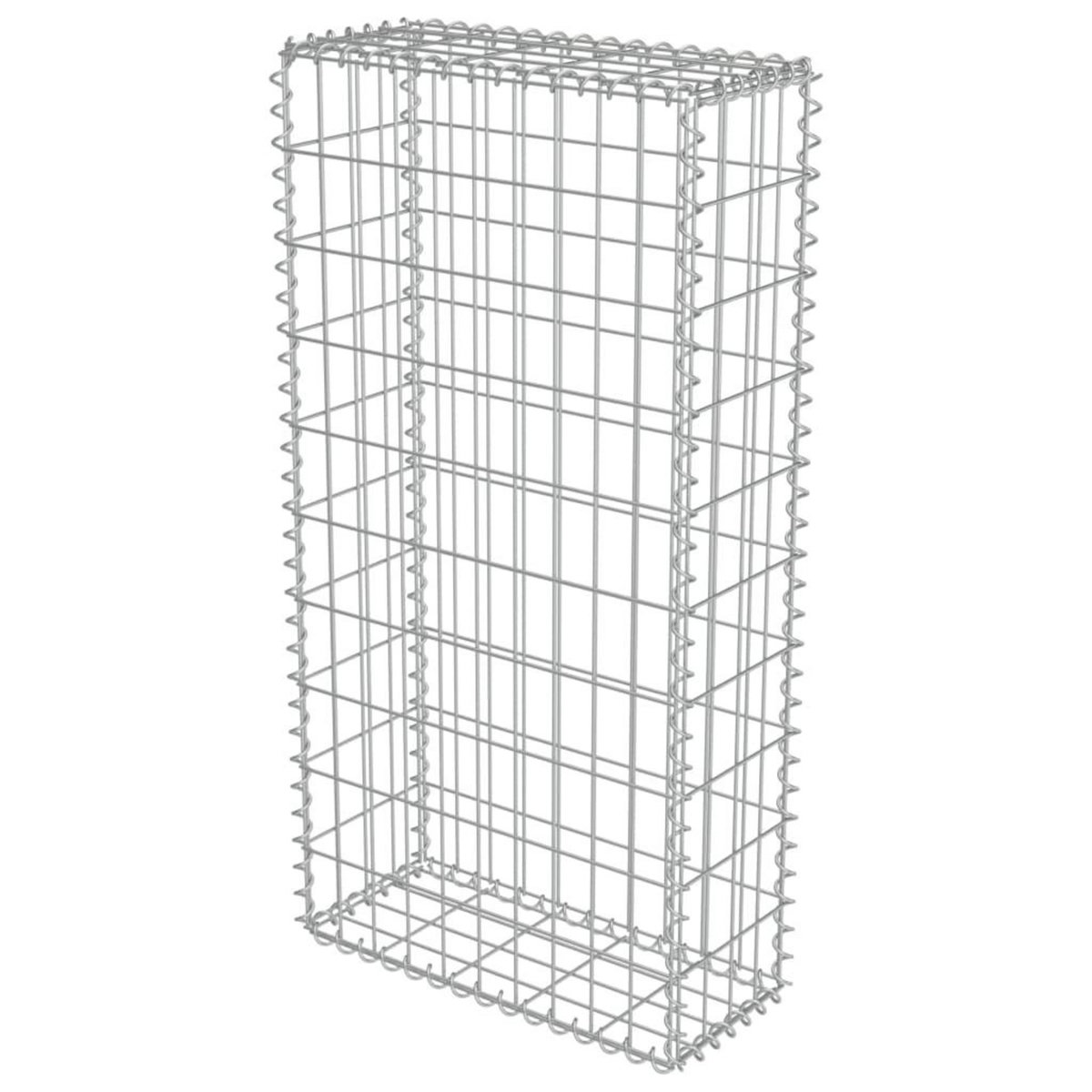 VIDAXL Mur en gabion avec couvercles Acier galvanise 50x20x100 cm