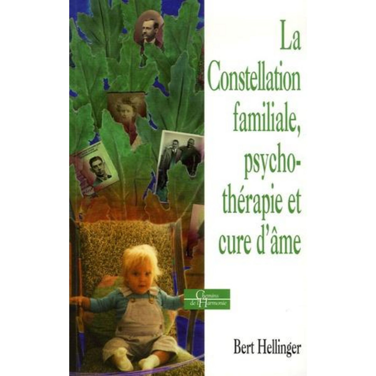 LA CONSTELLATION FAMILIALE, PSYCHOTHERAPIE ET CURE D'AME, Hellinger Bert