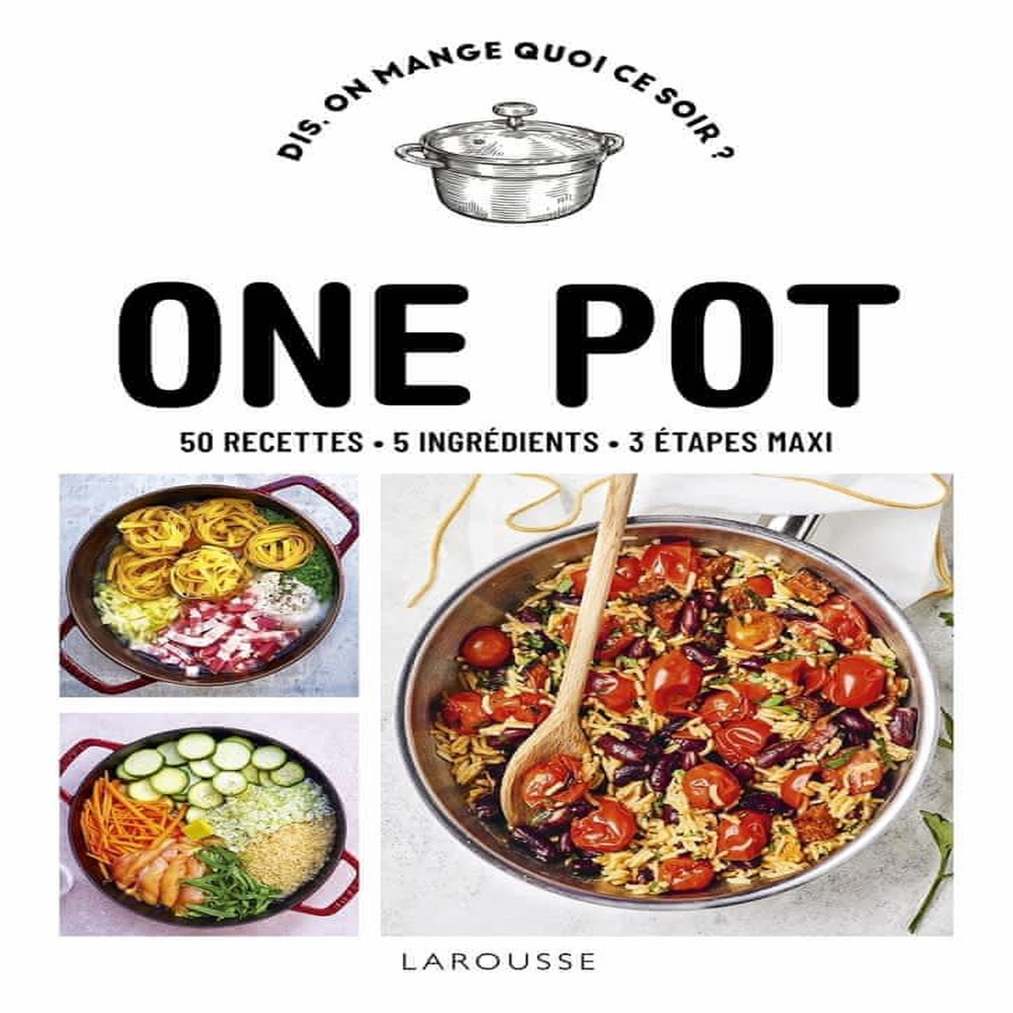 ONE POT. 50 RECETTES, 5 INGREDIENTS, 3 ETAPES MAXI, Lebrun Delphine
