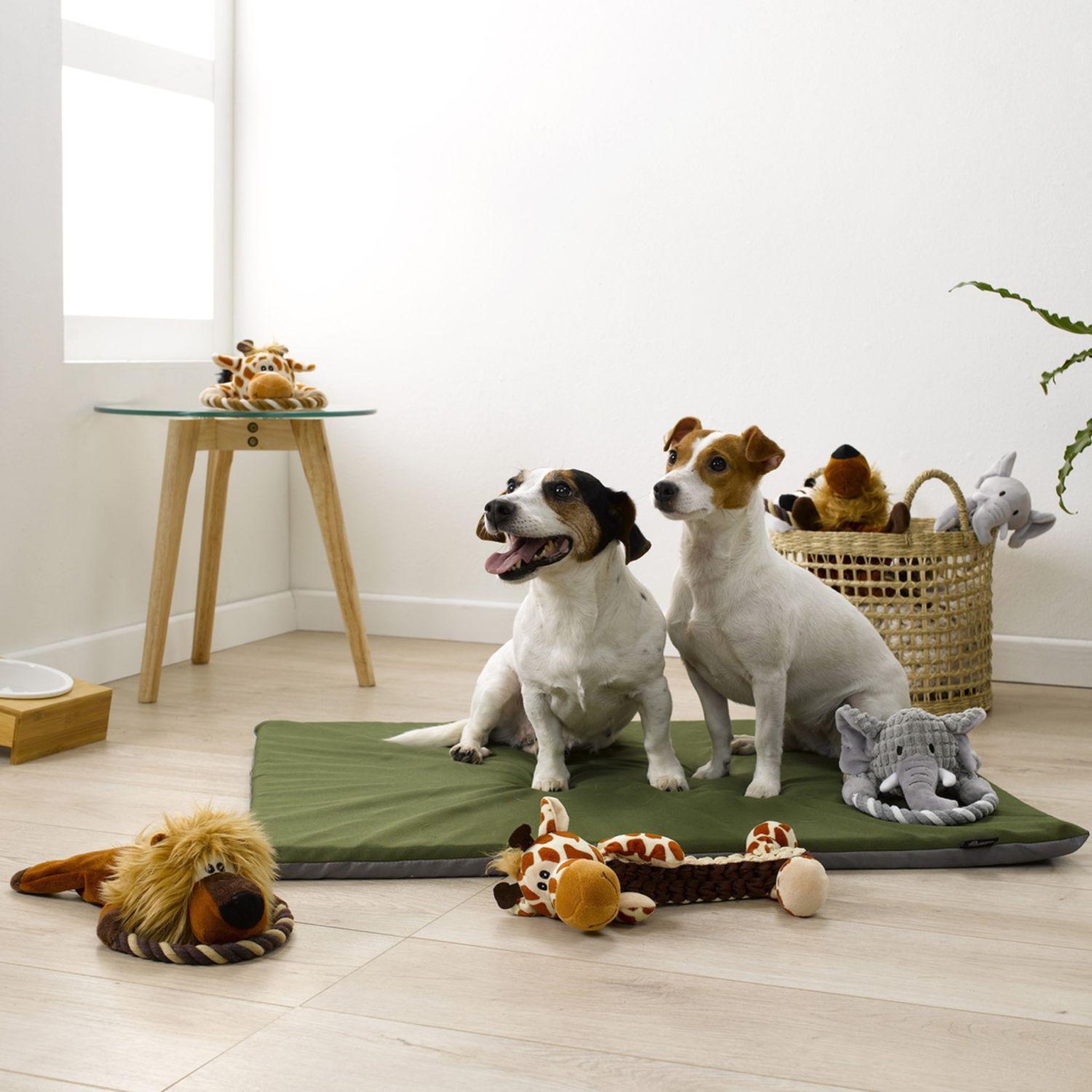 Voir la diapositive 2 : LOVE STORY Peluche girafe avec corde pour chien